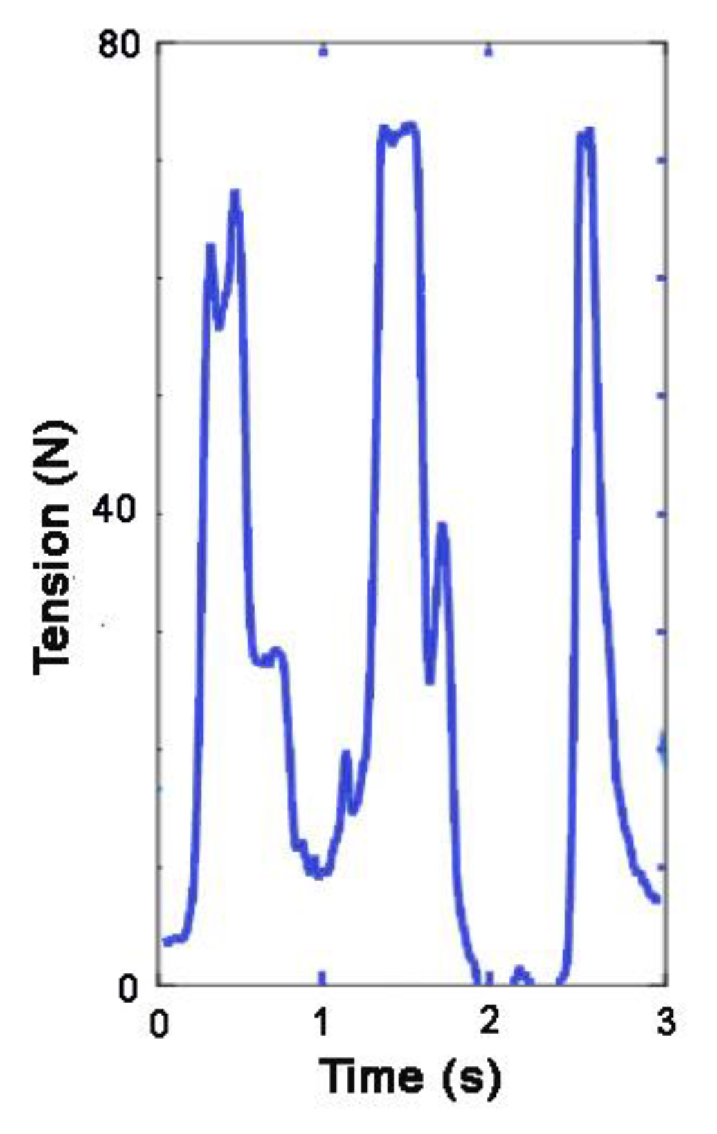 Animals 11 02875 g003