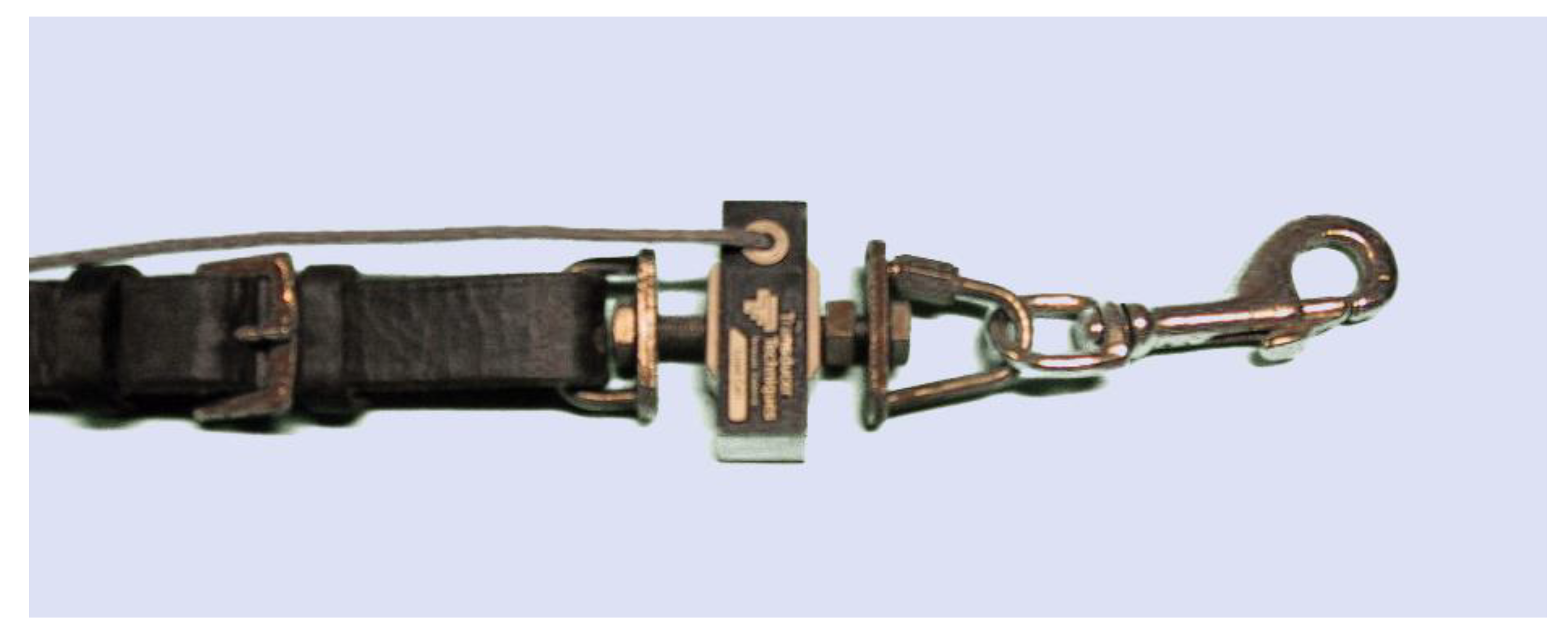 Animals 11 02875 g005