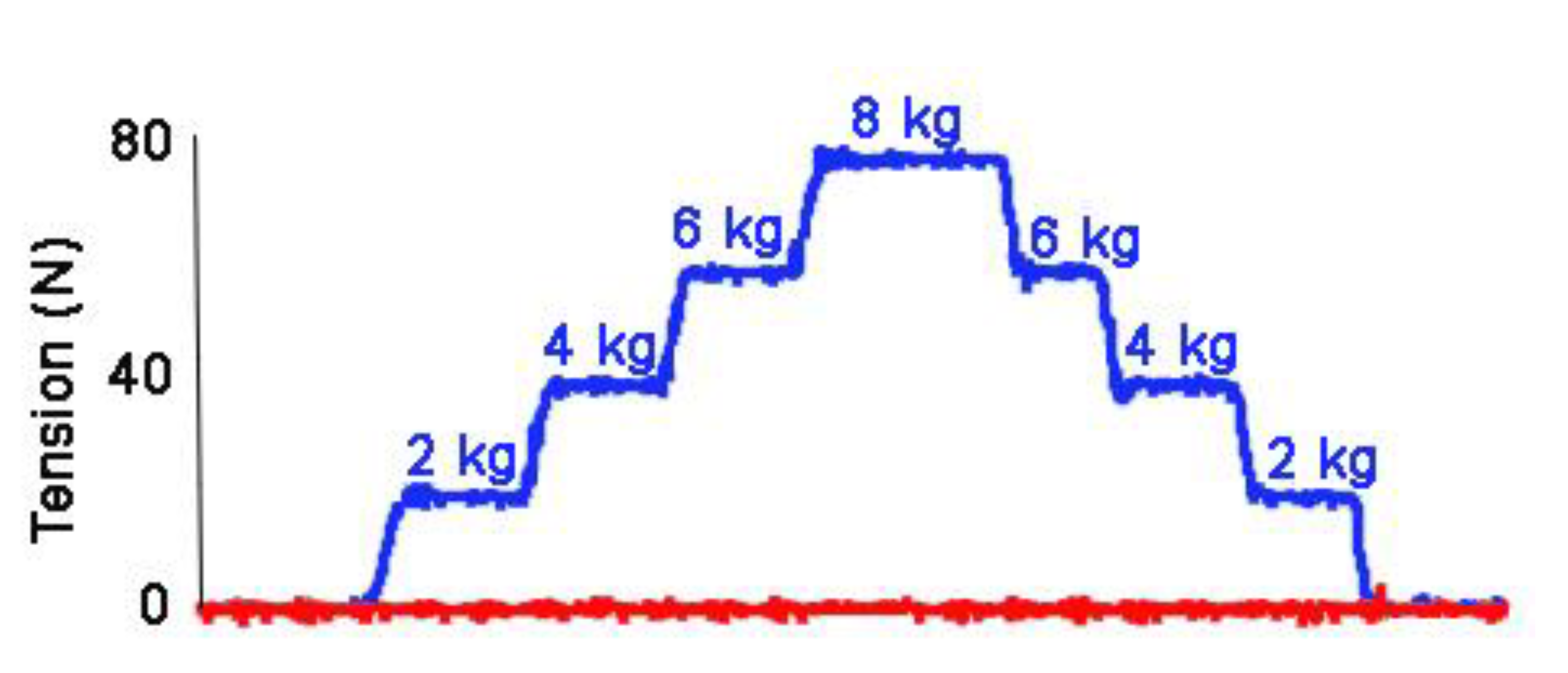 Animals 11 02875 g006