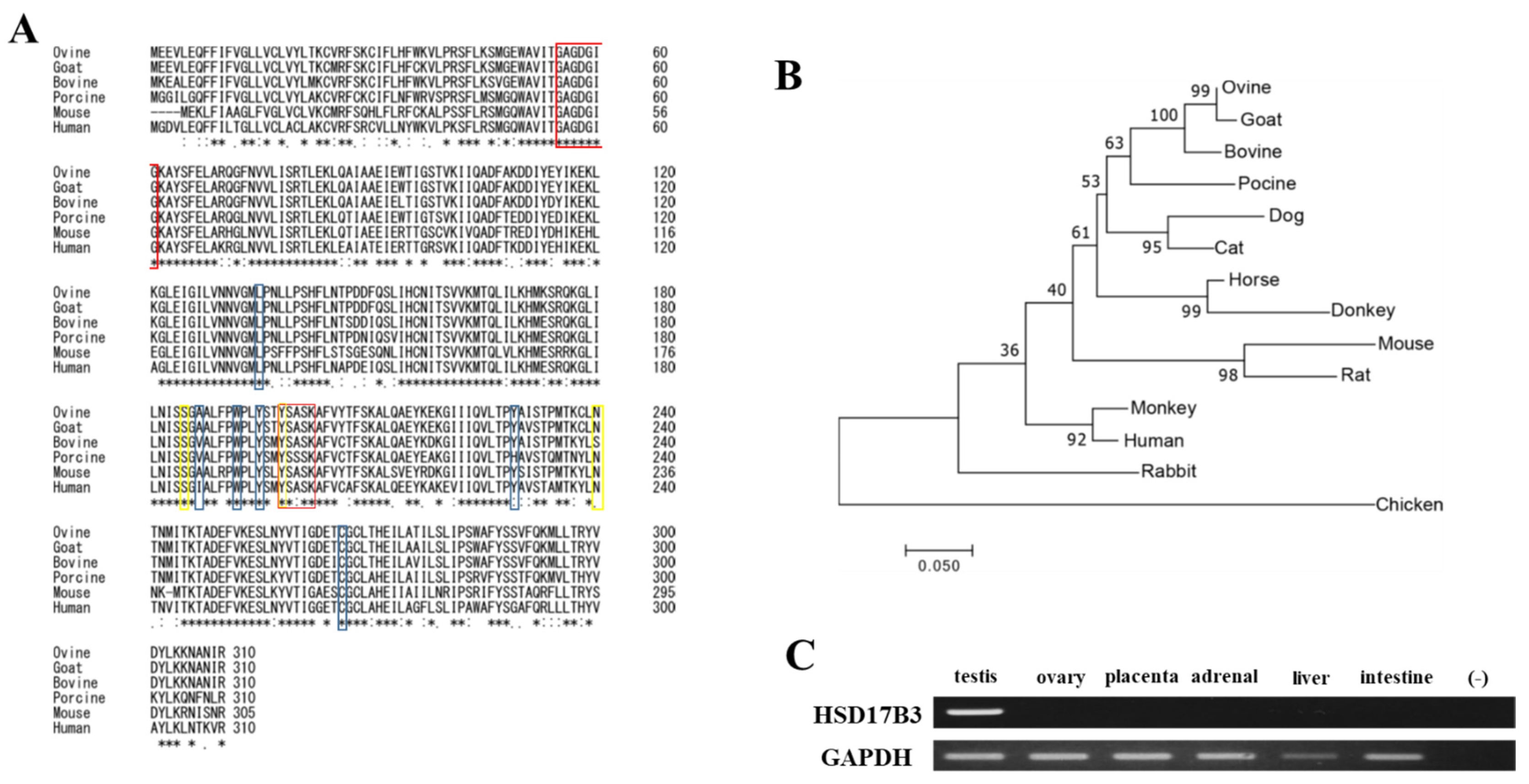 Animals 11 02876 g001