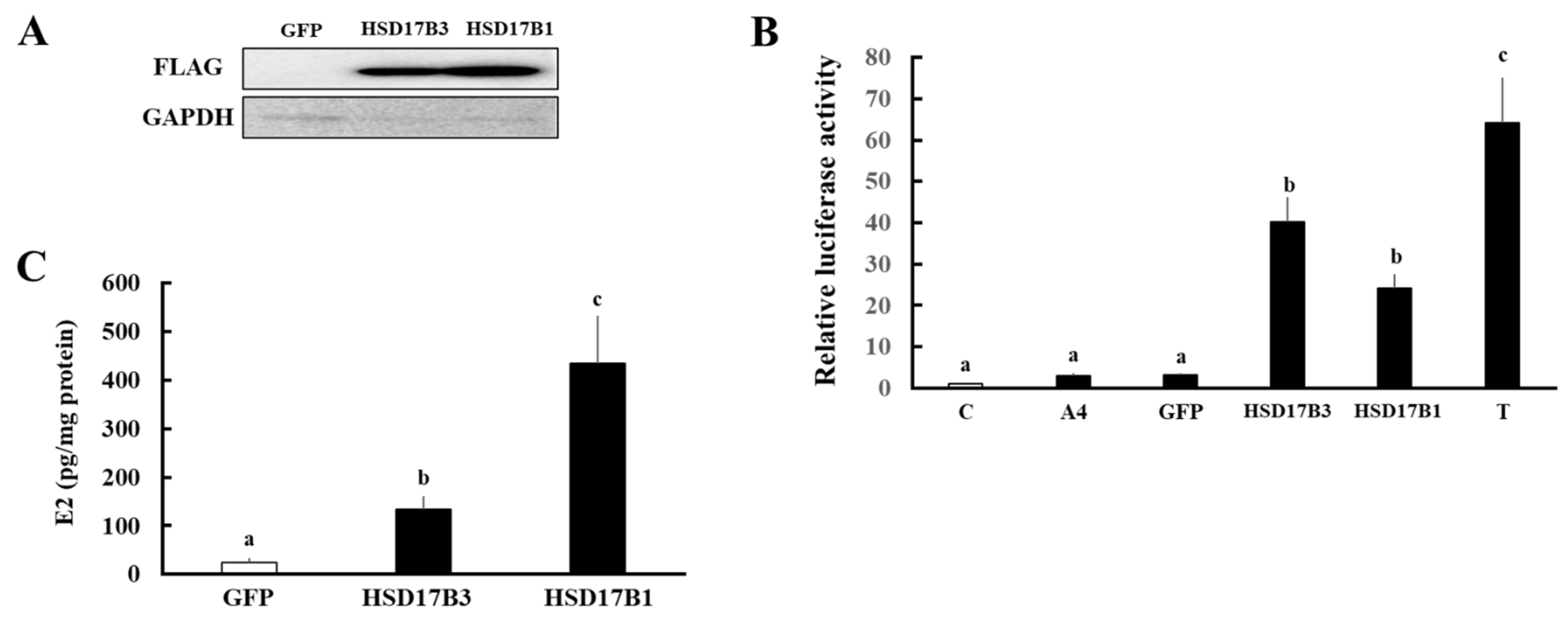 Animals 11 02876 g003