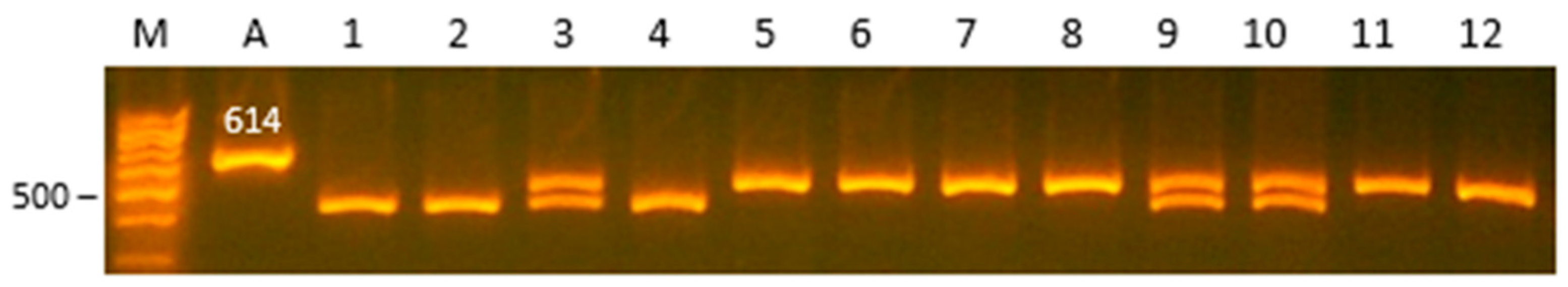 Animals 11 02882 g001