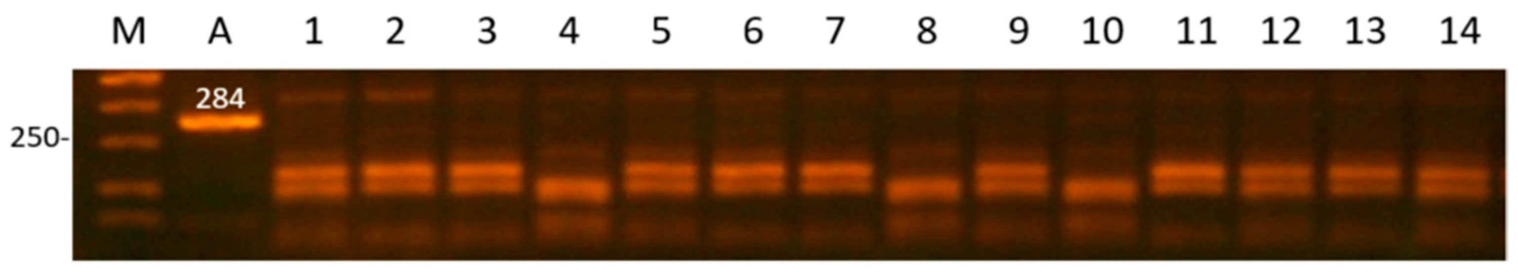 Animals 11 02882 g004