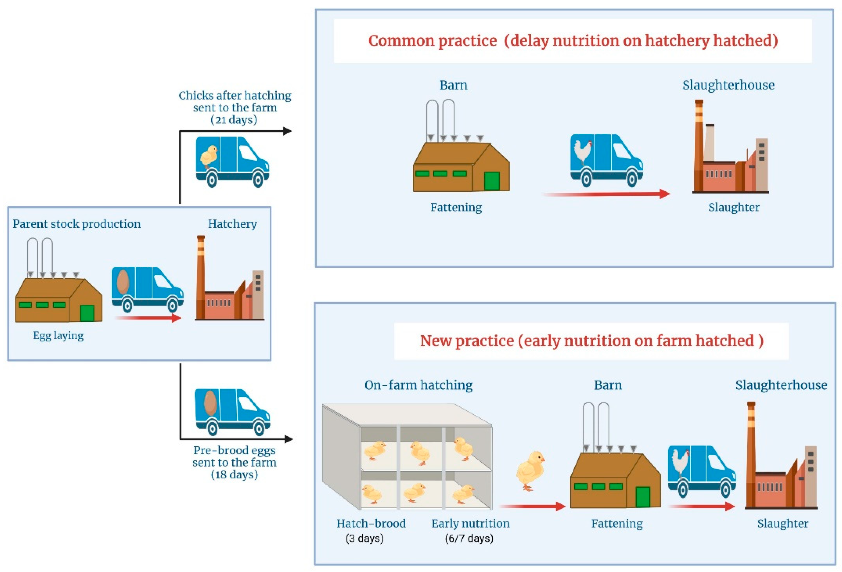 Animals 11 02888 g001