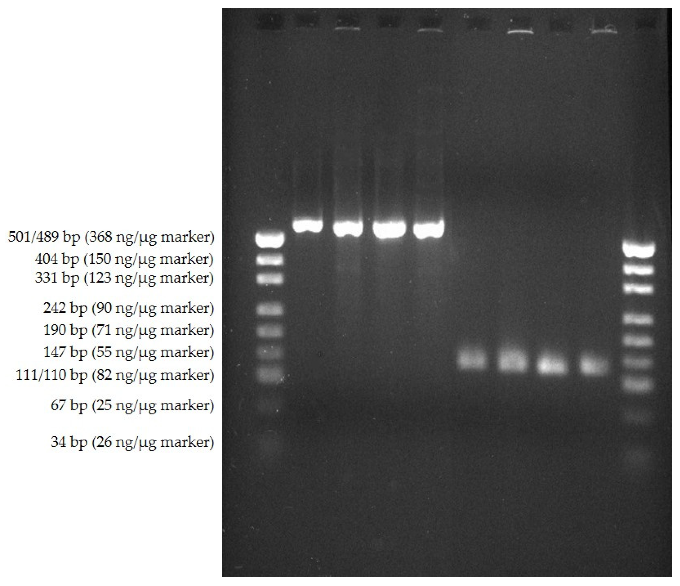 Animals 11 02890 g002