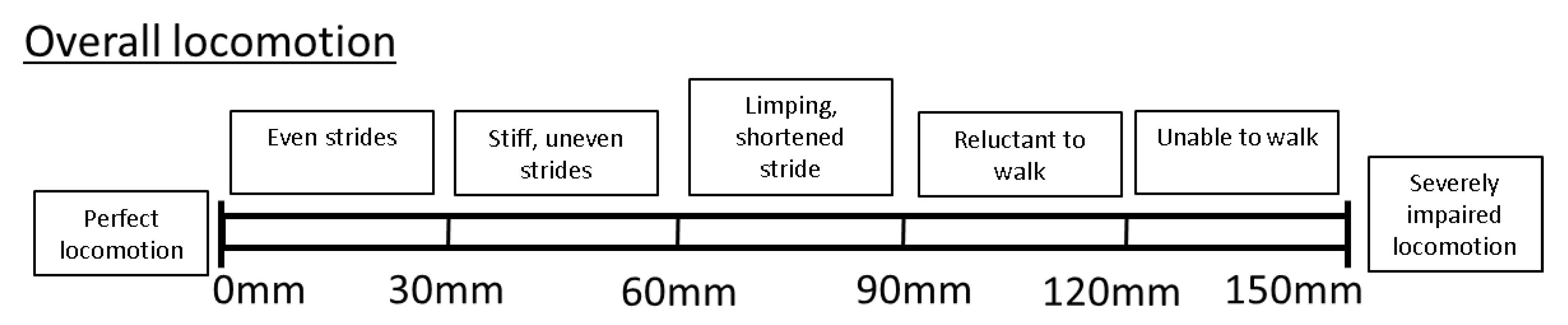 Animals 11 02900 g001