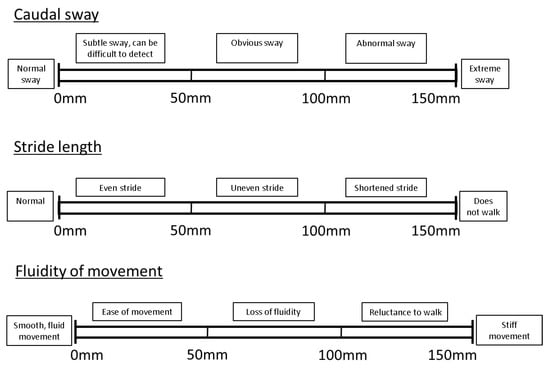 Animals 11 02900 g0a1a 550