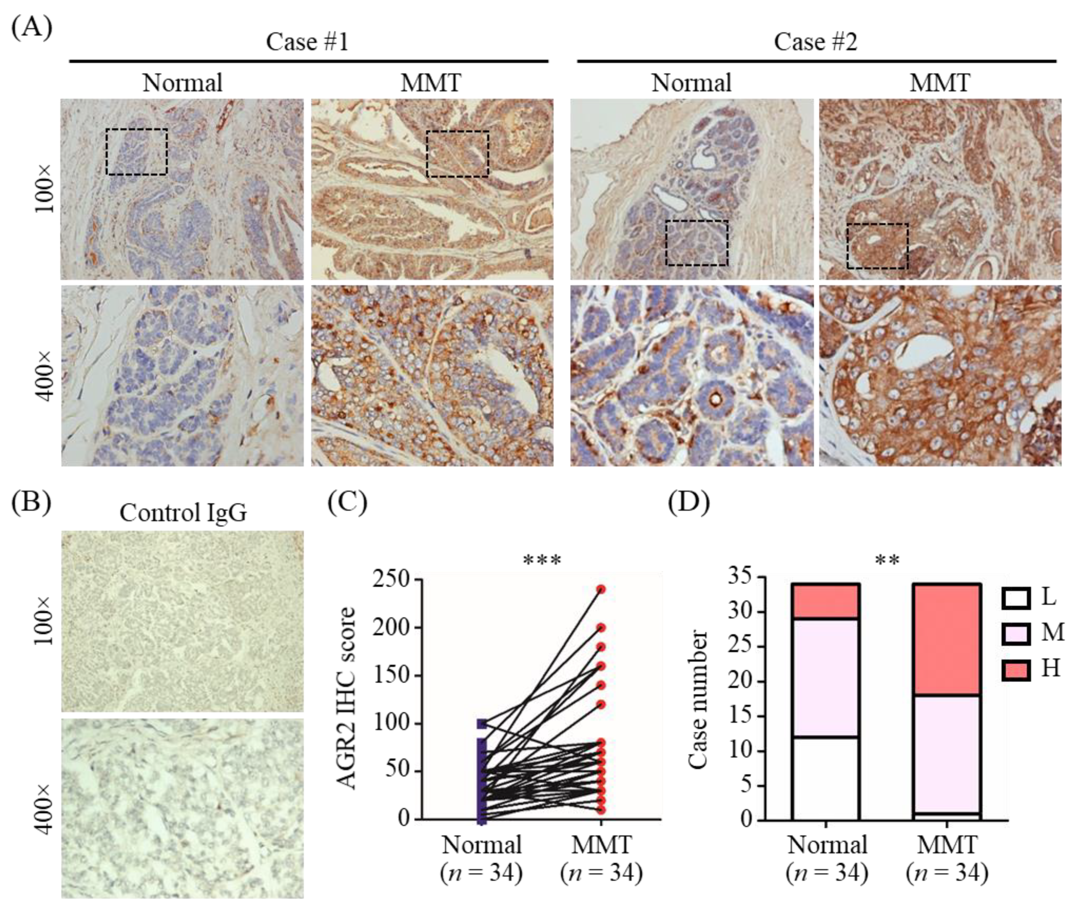 Animals 11 02923 g001