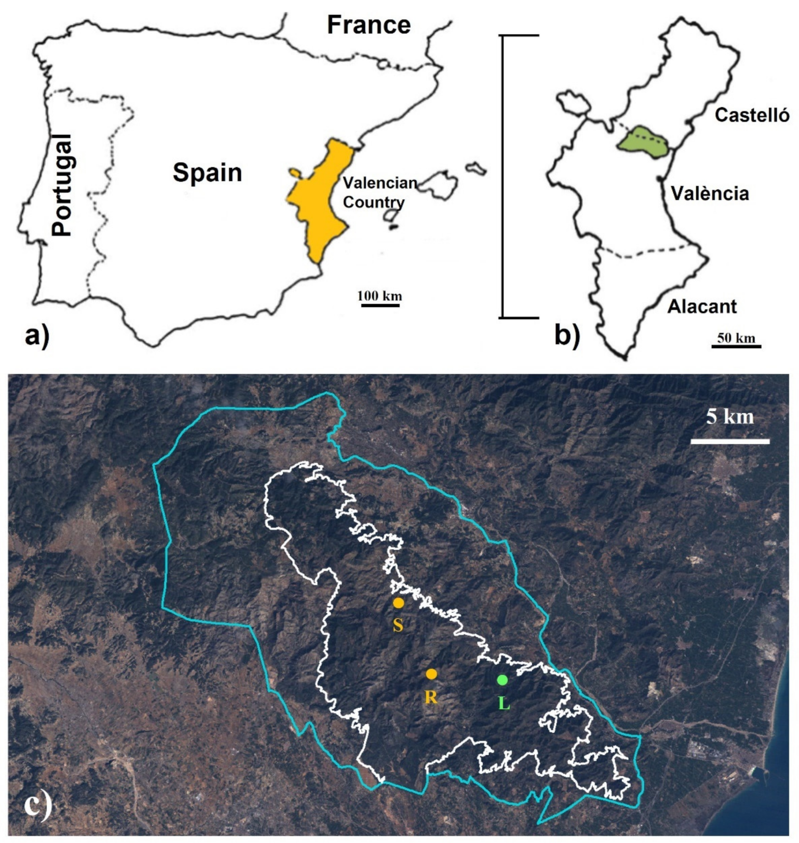 Animals 11 02926 g001