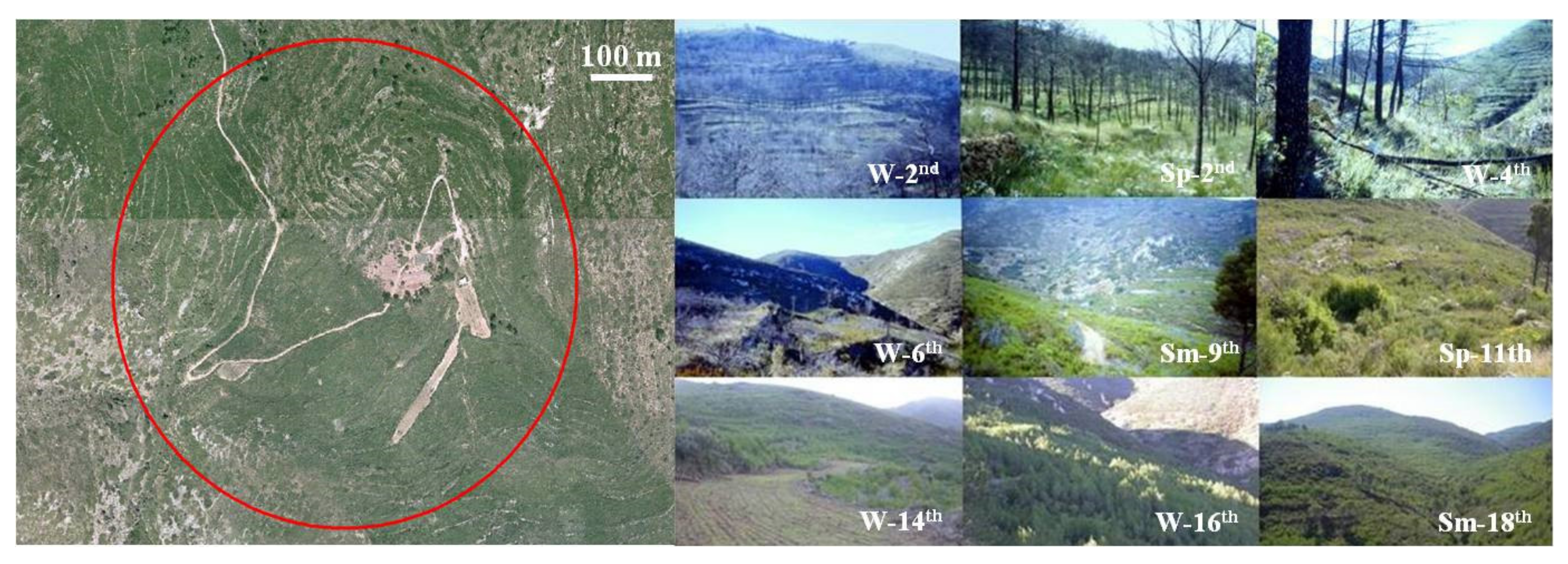 Animals 11 02926 g002