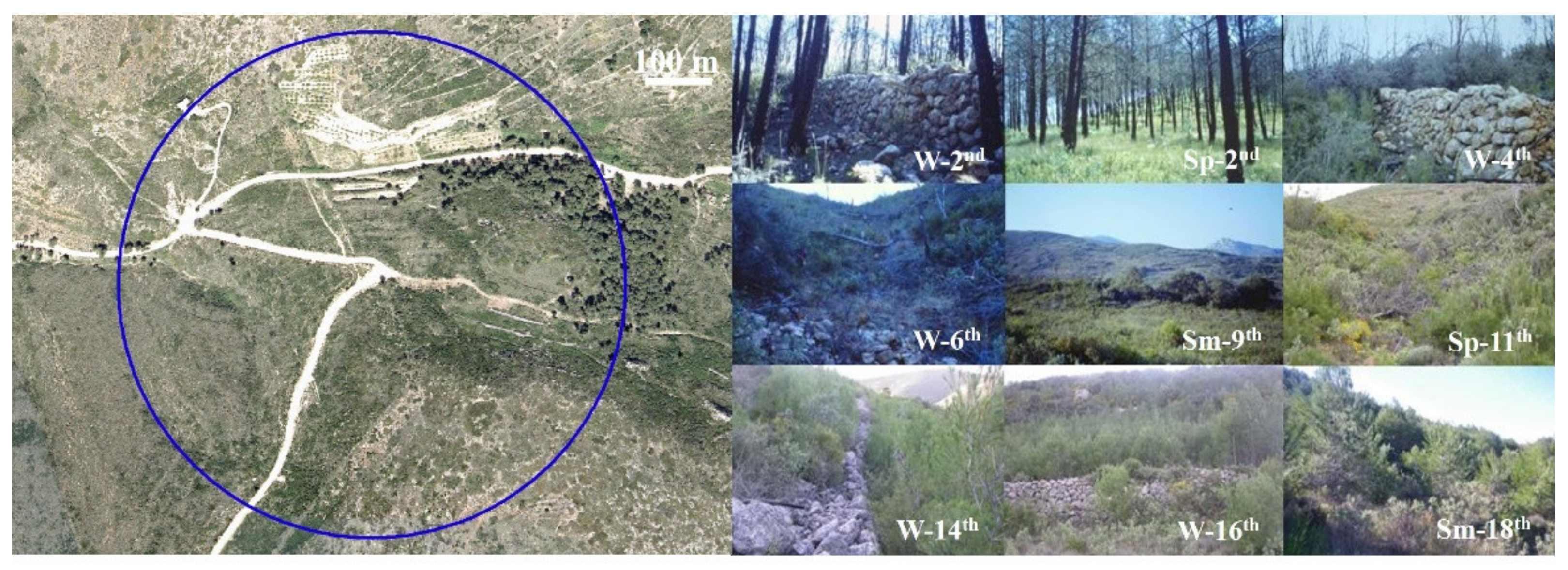 Animals 11 02926 g003