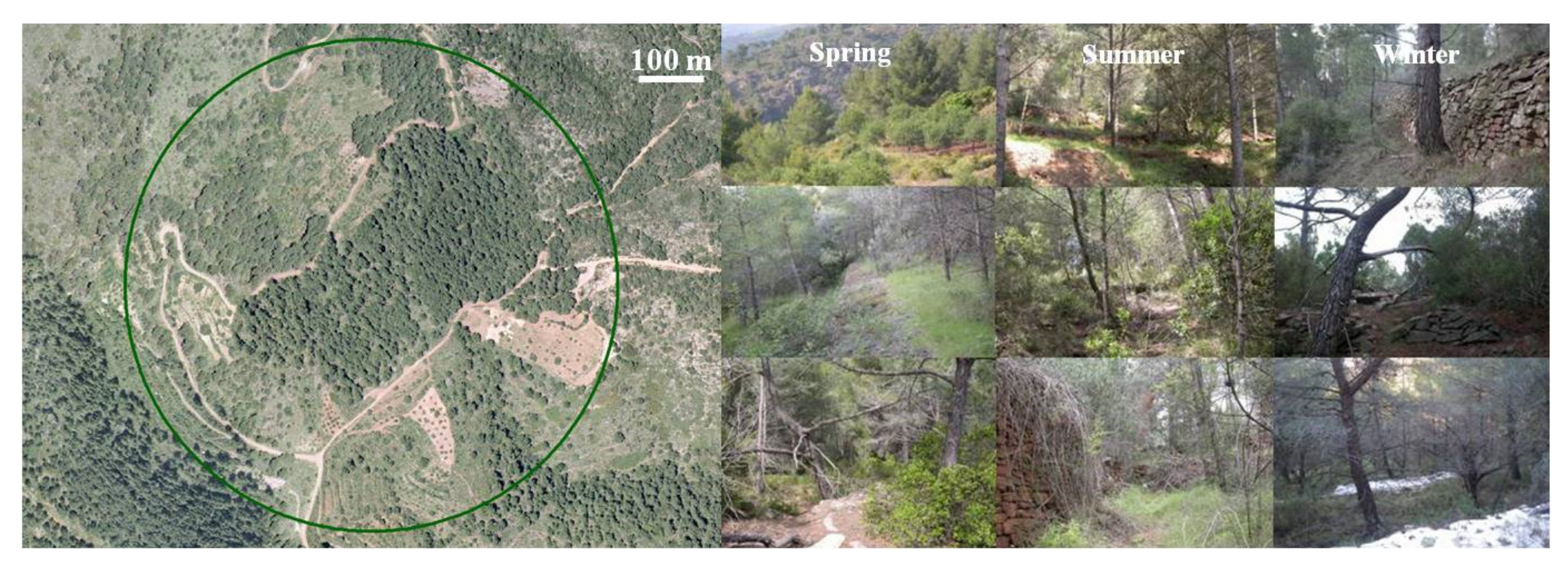 Animals 11 02926 g004