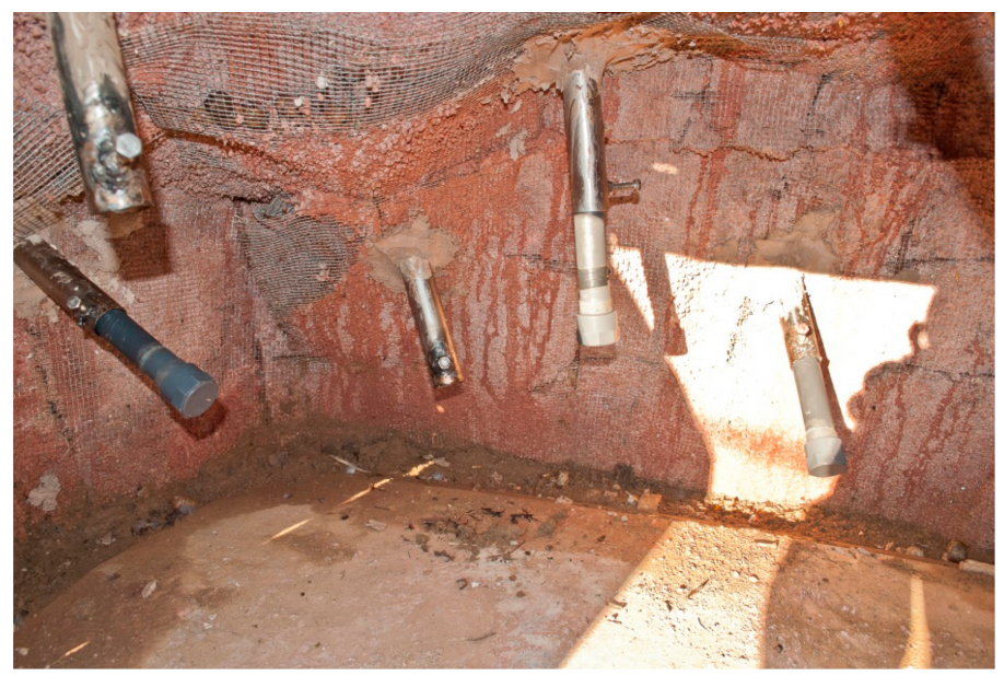 Animals 11 02941 g002