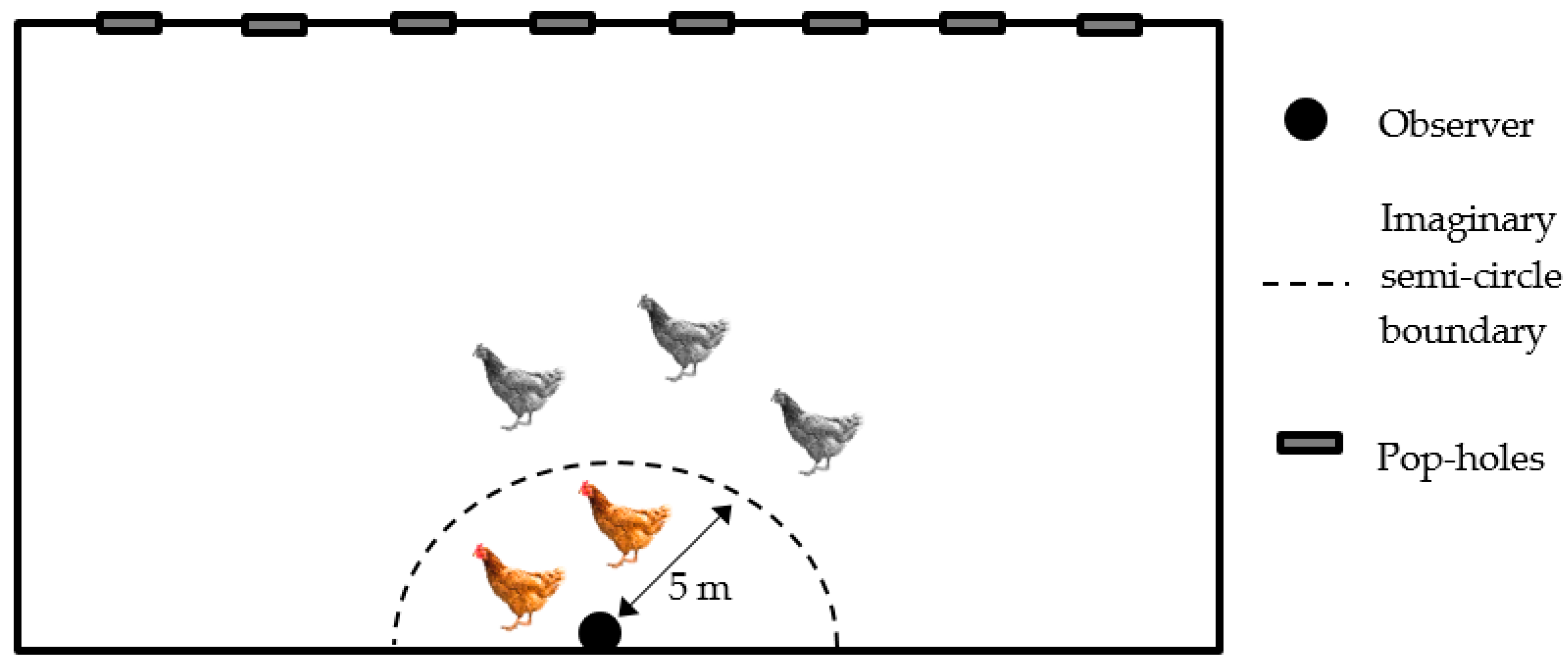 Animals 11 02967 g001