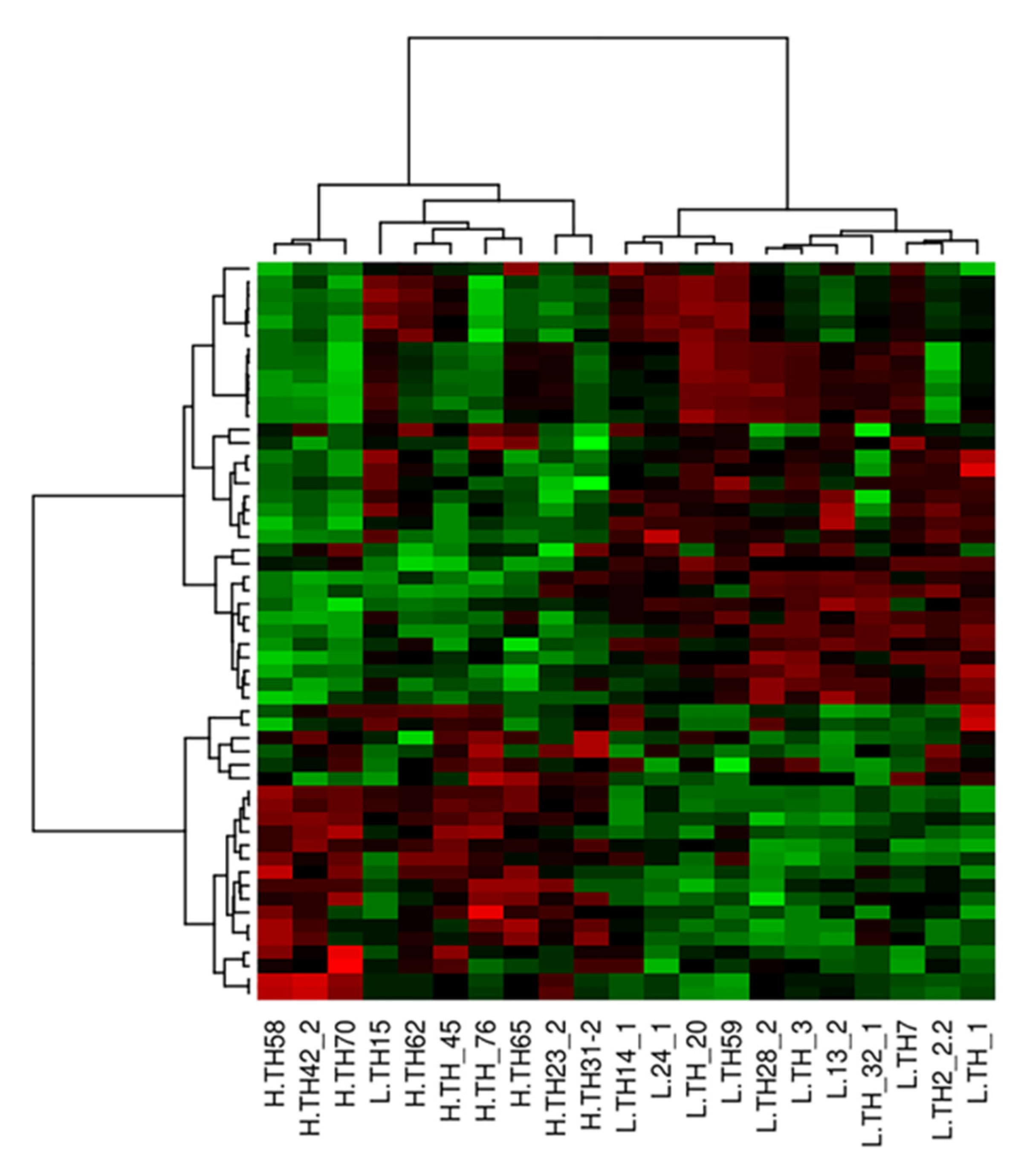 Animals 11 02977 g001
