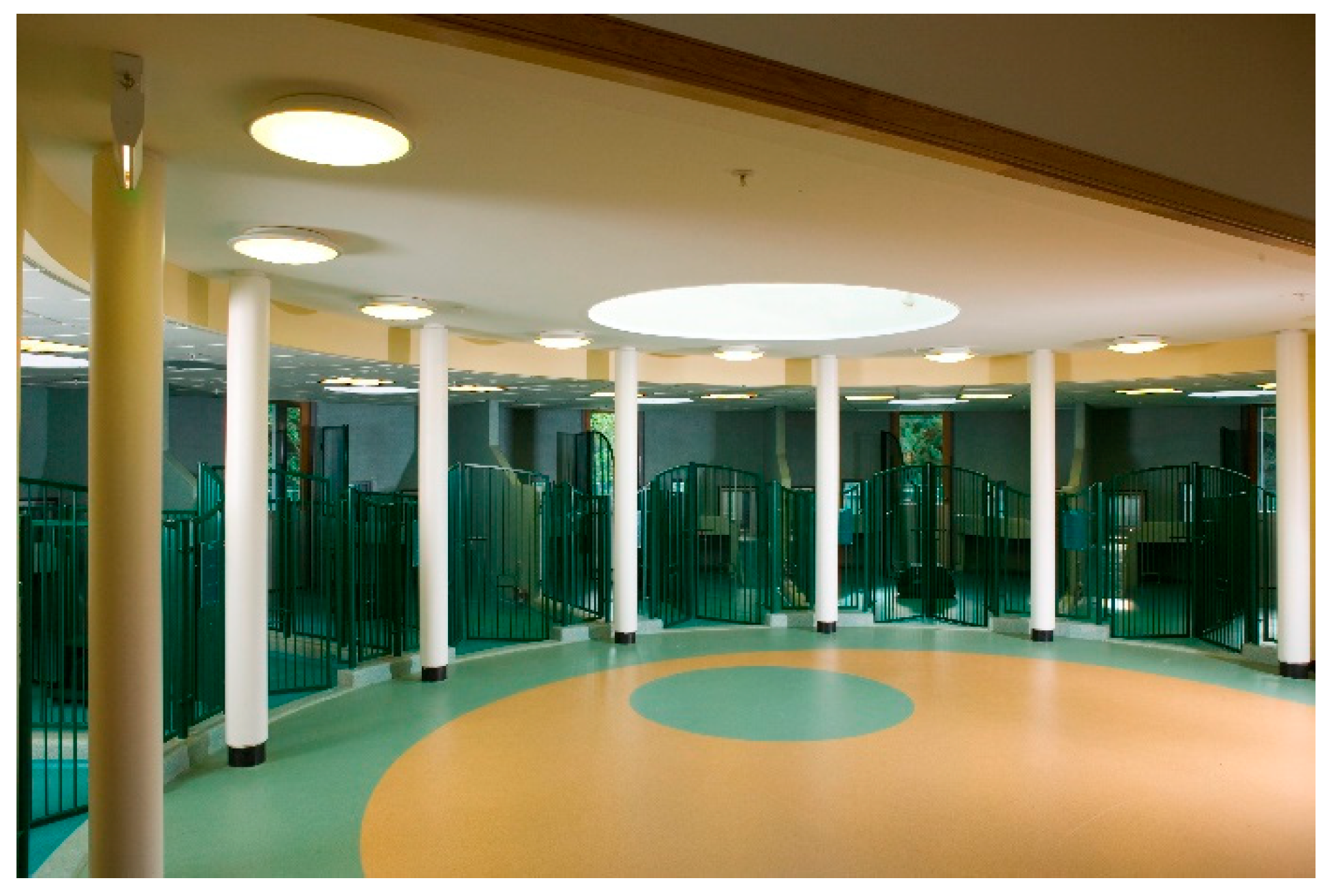 Animals 11 02980 g001