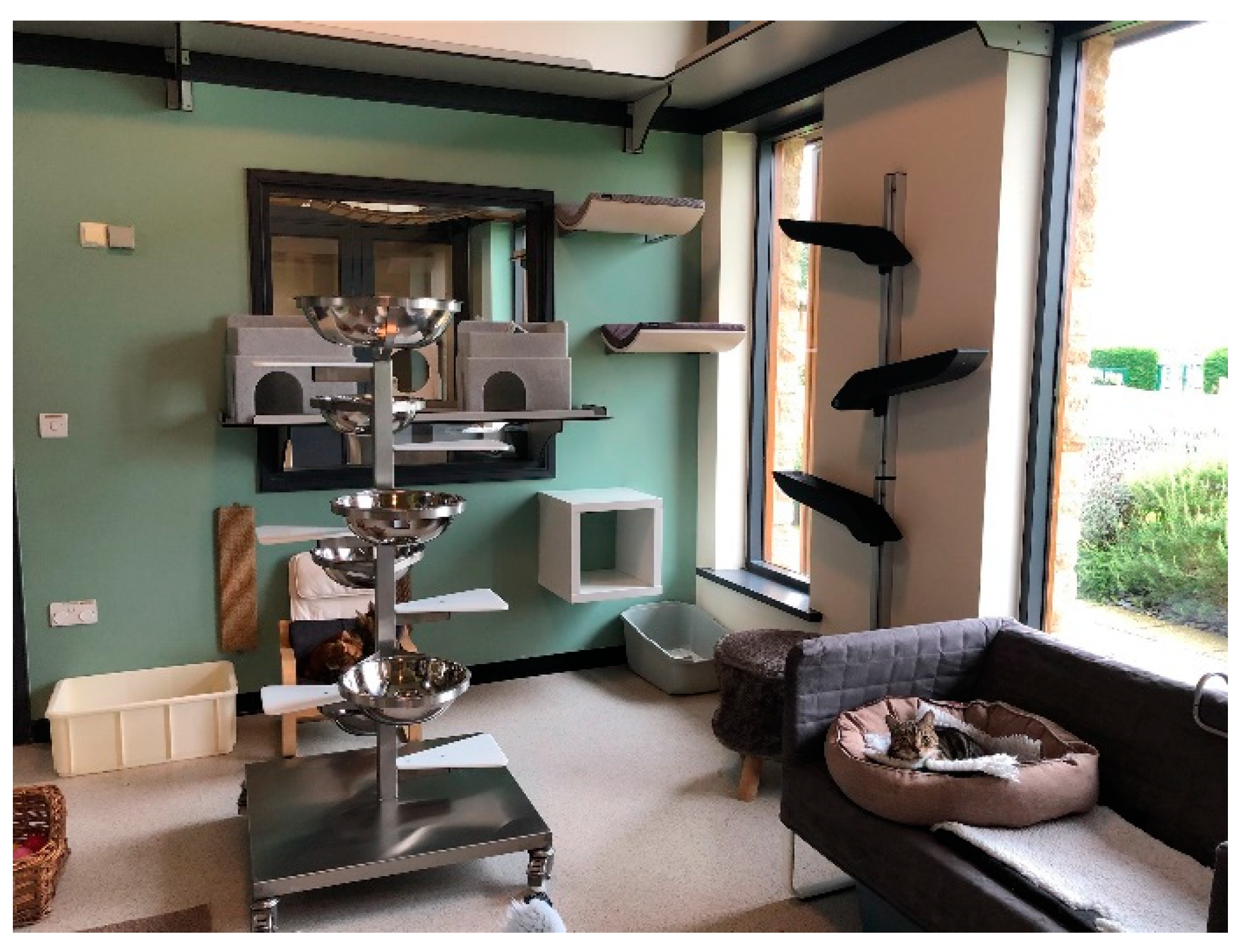 Animals 11 02980 g004