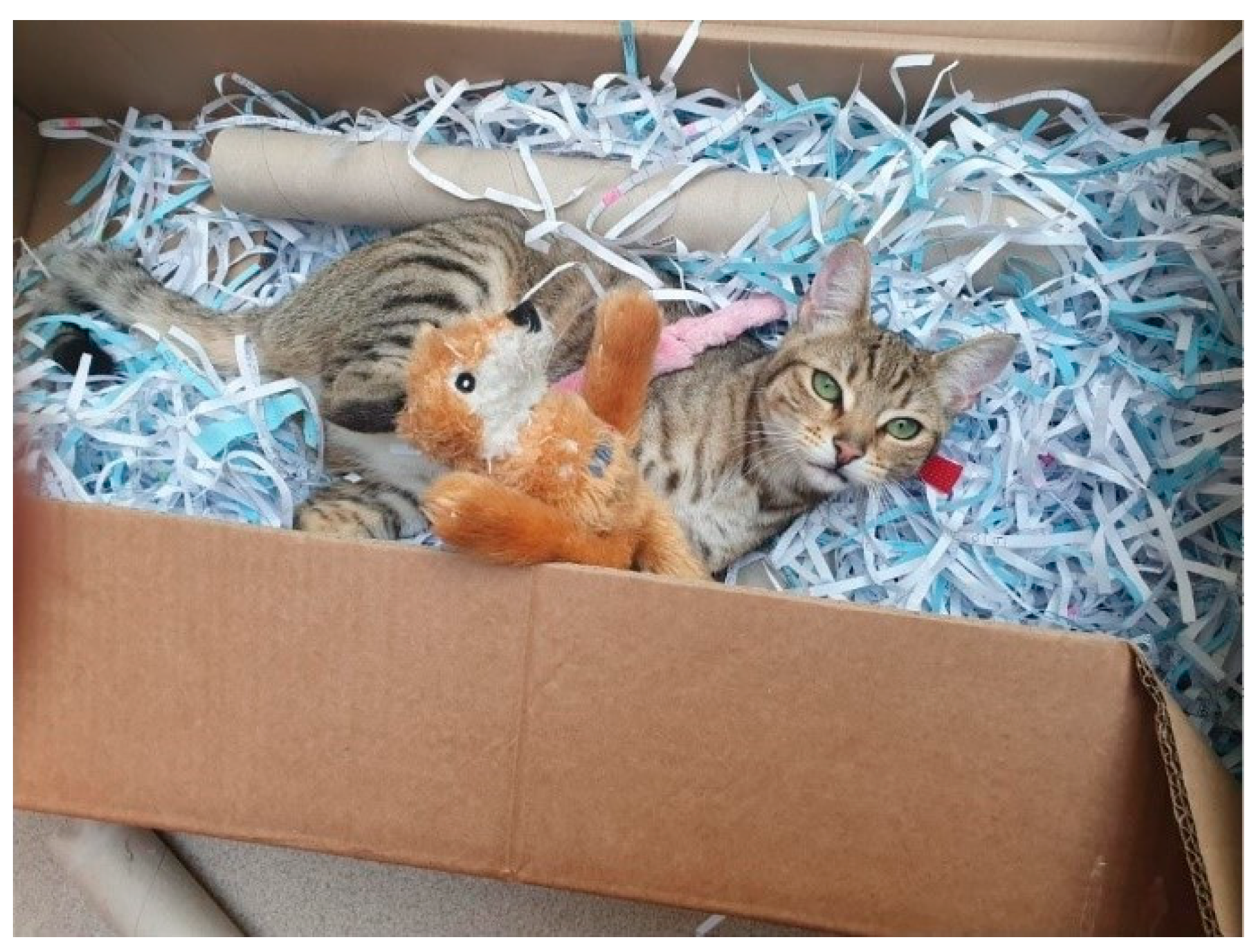 Animals 11 02980 g006