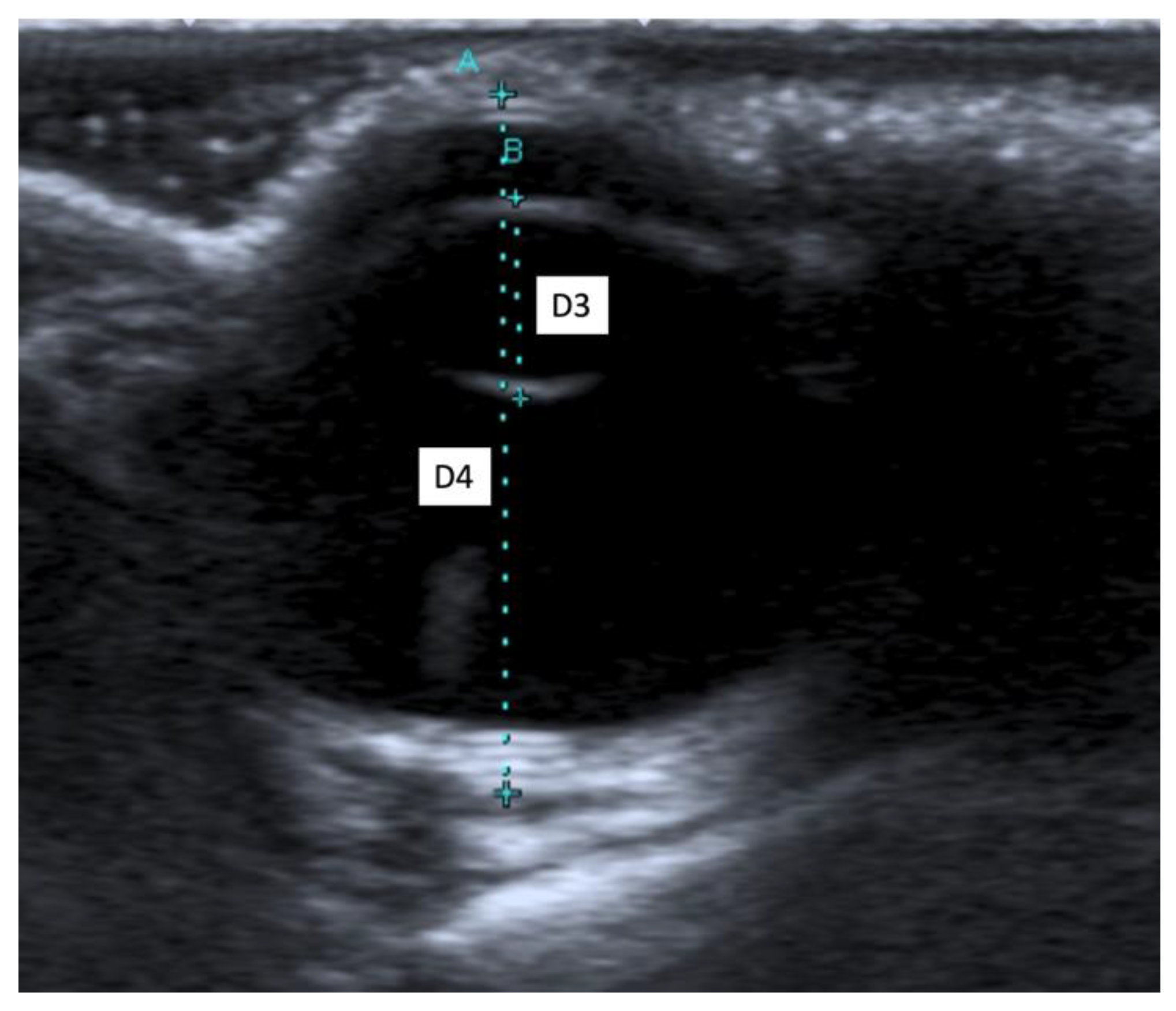 Animals 11 02987 g002