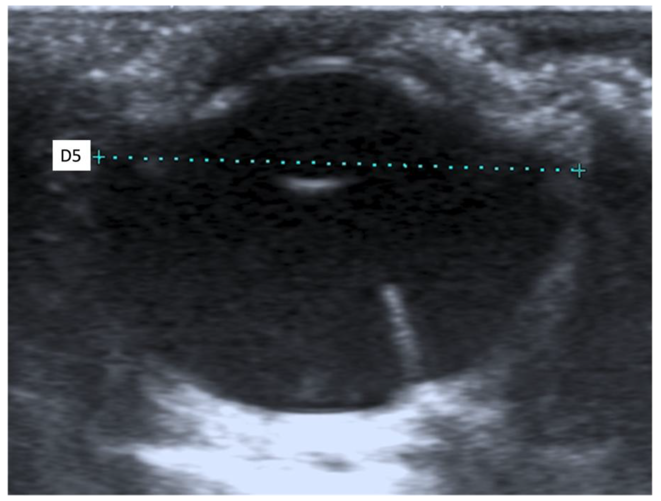 Animals 11 02987 g003