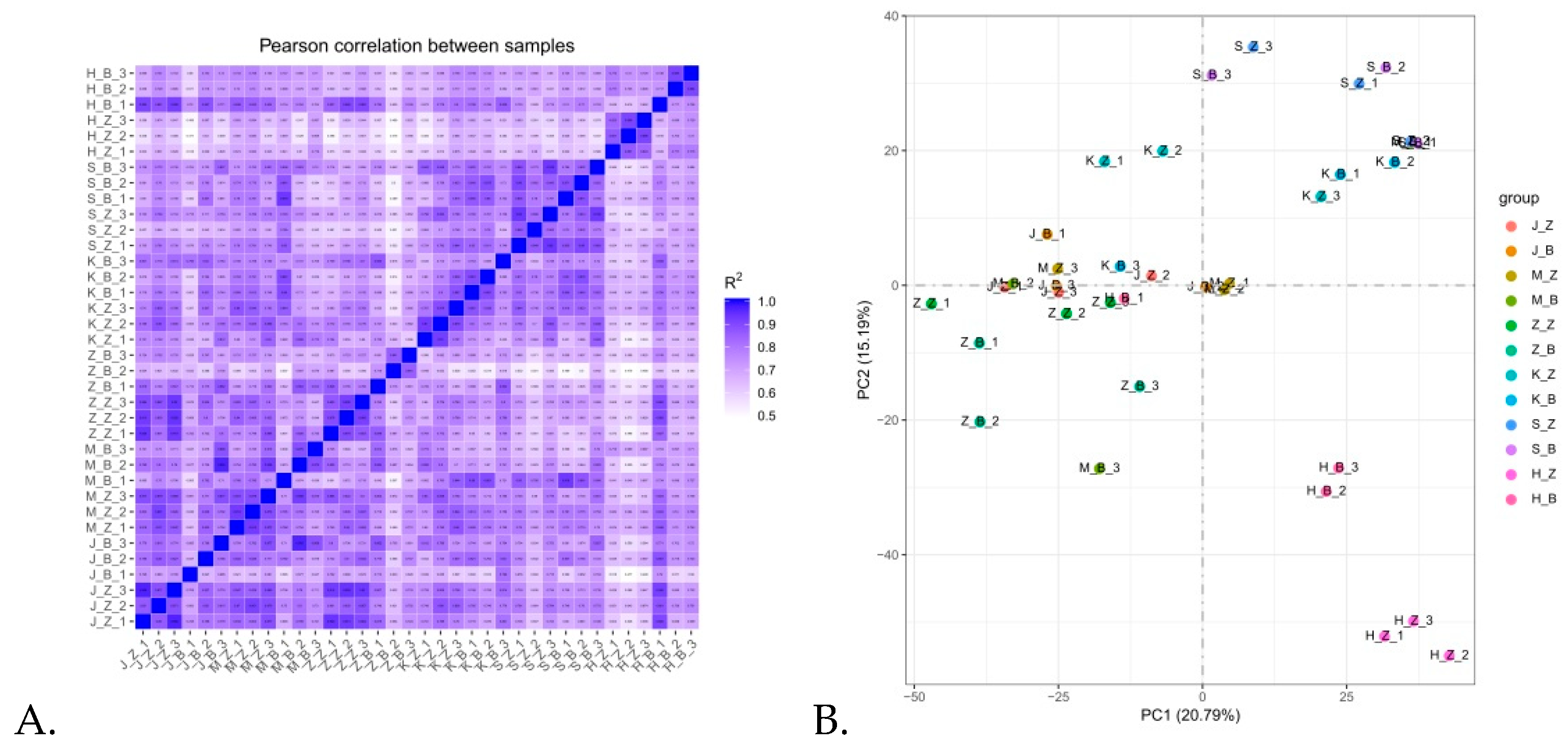 Animals 11 02994 g002