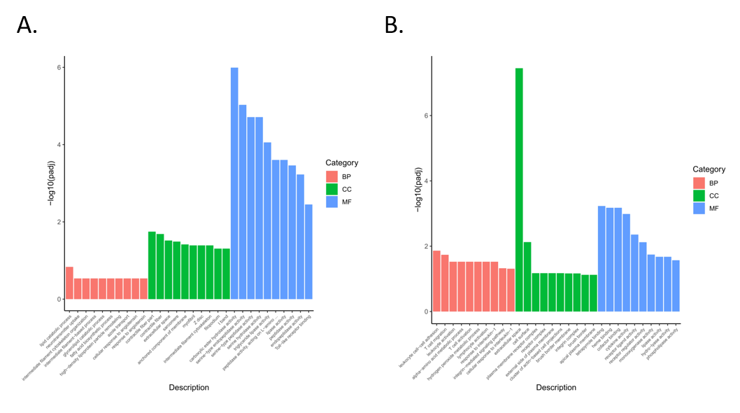 Animals 11 02994 g004a