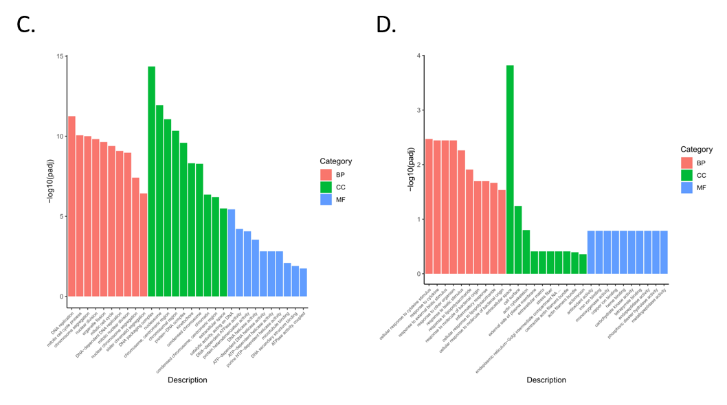 Animals 11 02994 g004b