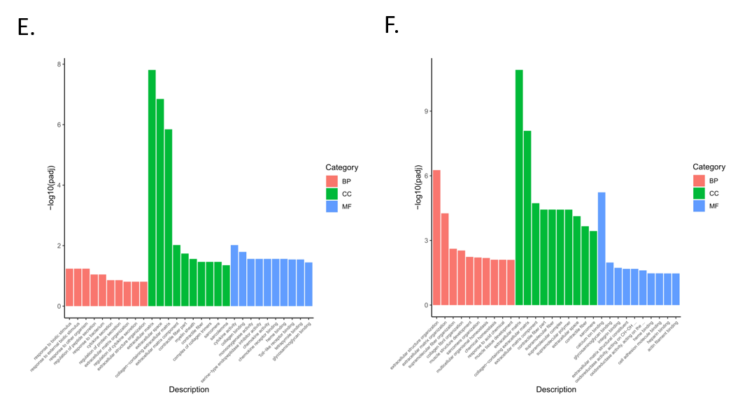 Animals 11 02994 g004c