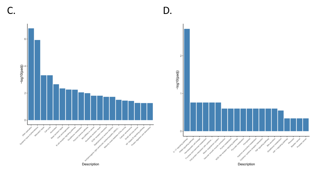 Animals 11 02994 g005b