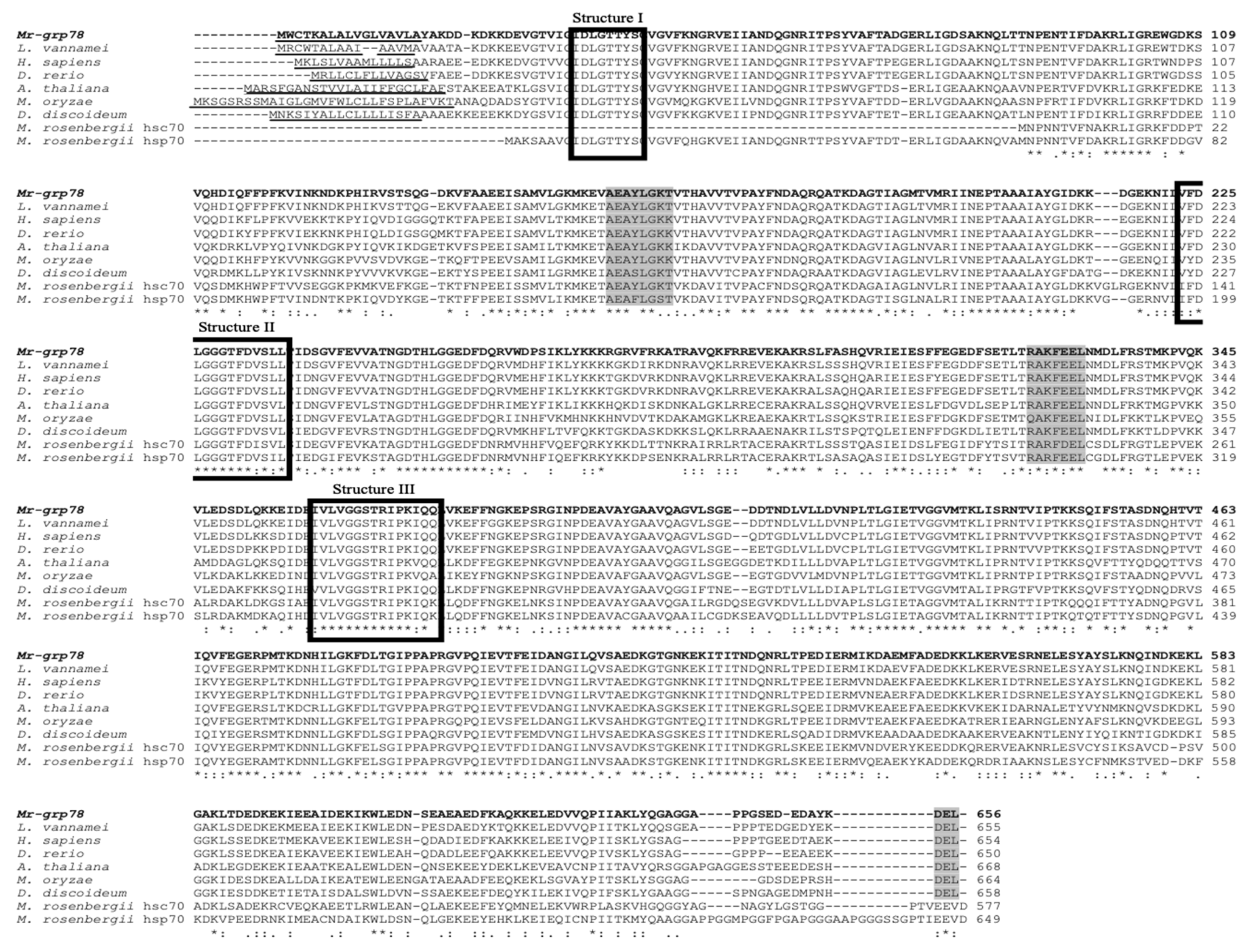 Animals 11 03004 g002