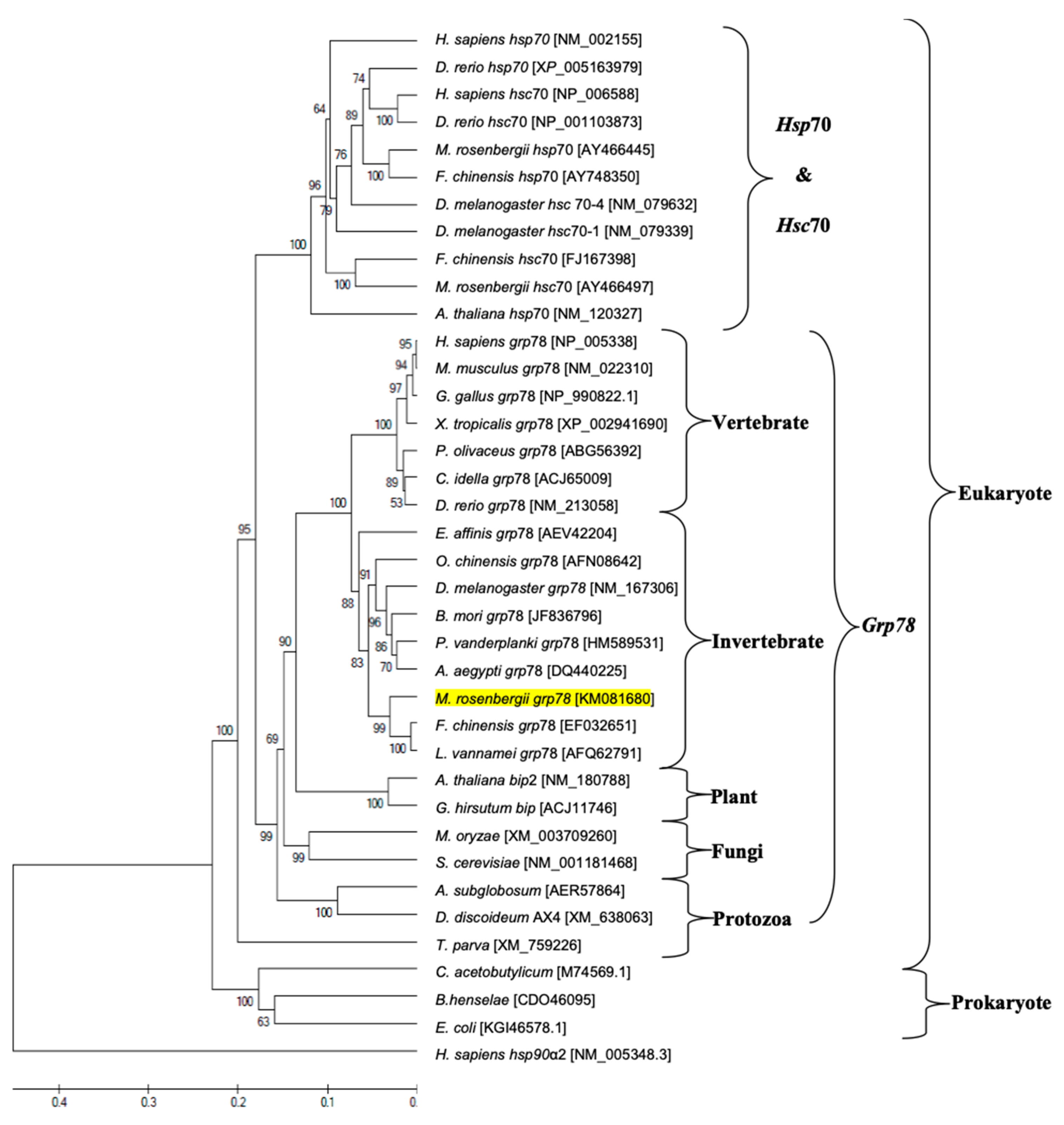 Animals 11 03004 g003