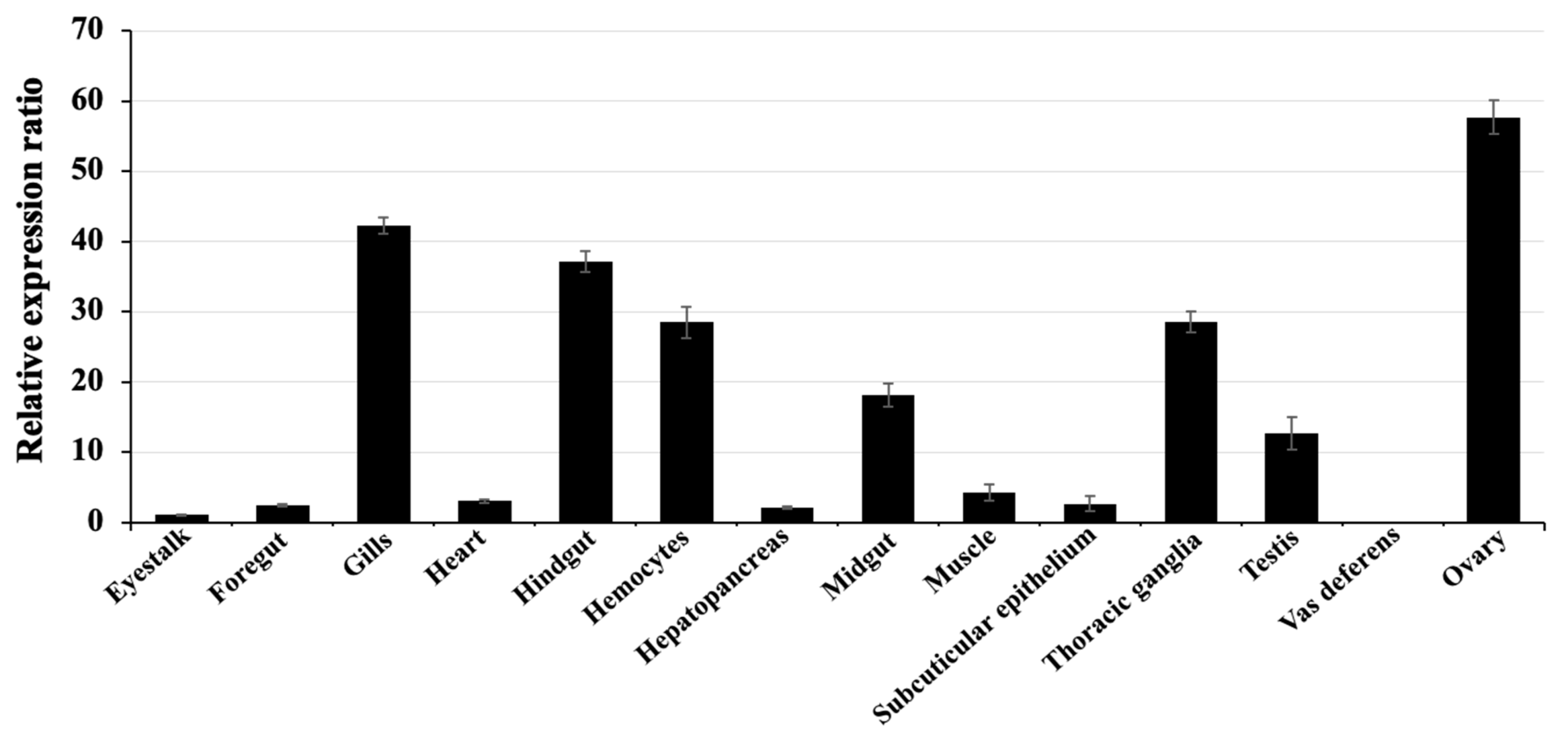 Animals 11 03004 g004