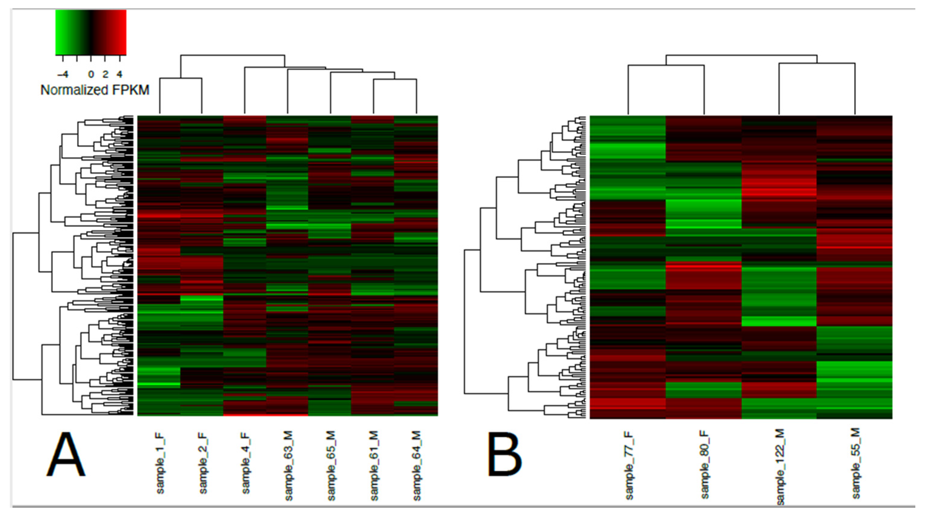 Animals 11 03013 g002