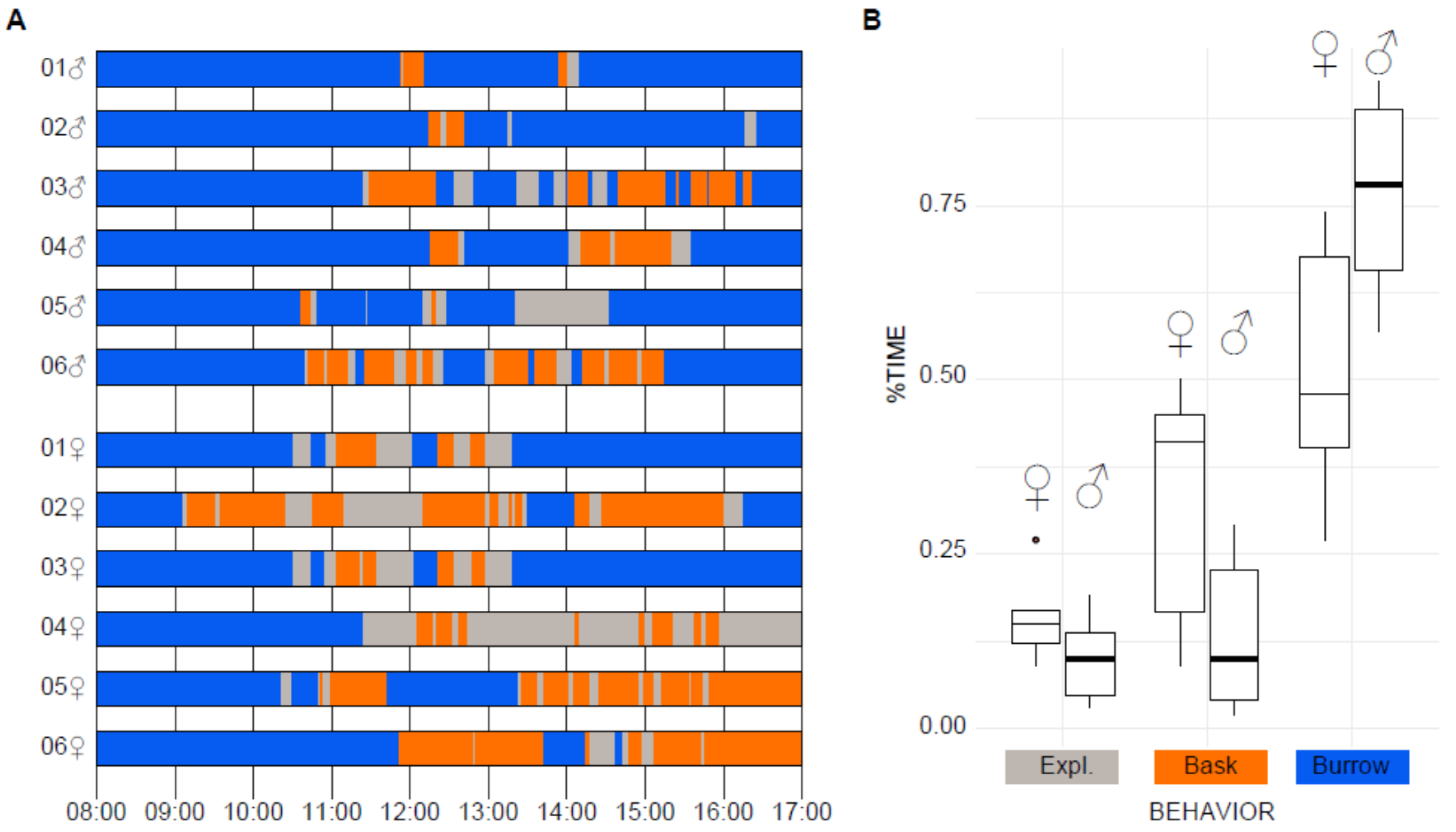 Animals 11 03022 g001