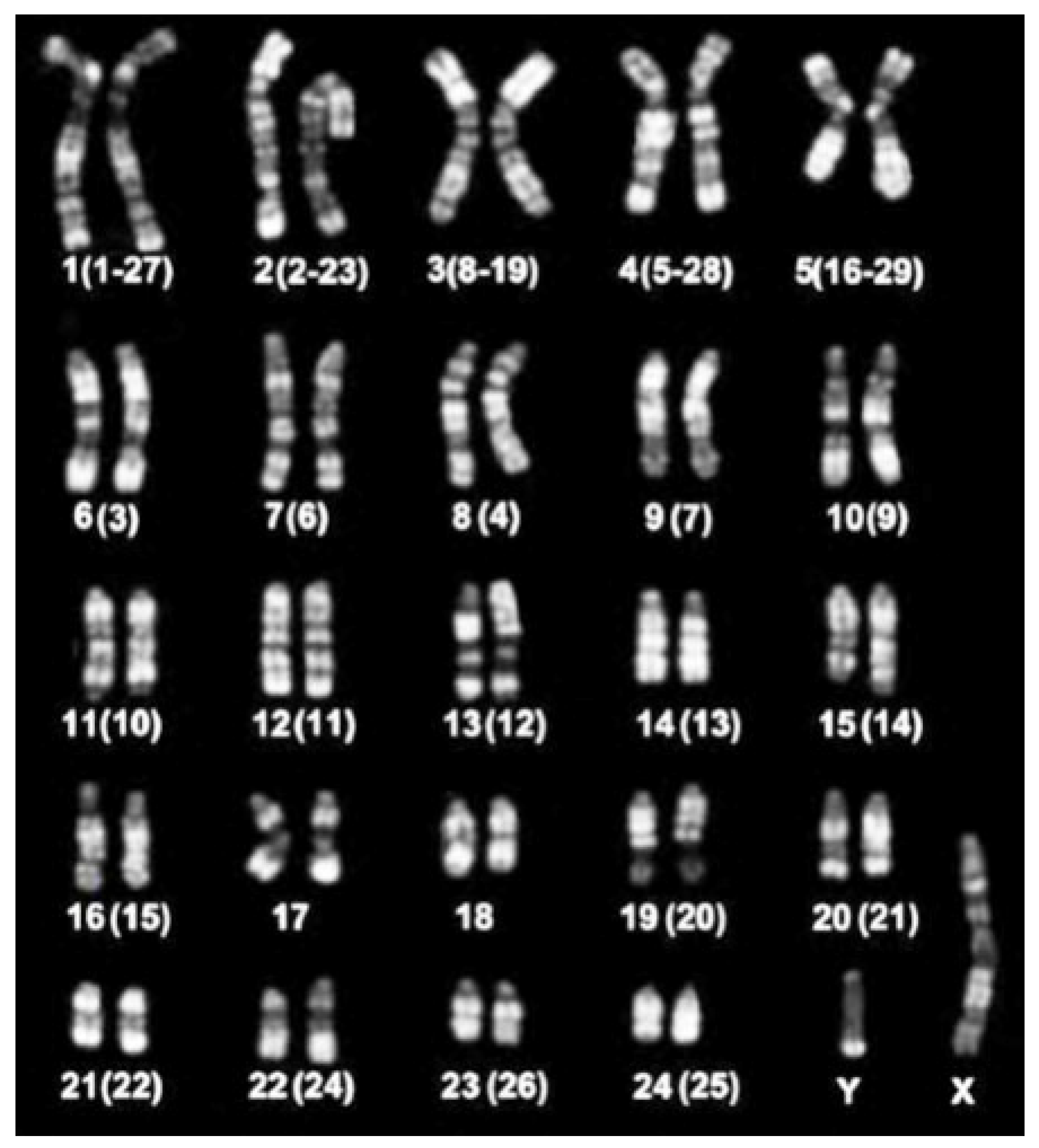 Animals 11 03109 g005