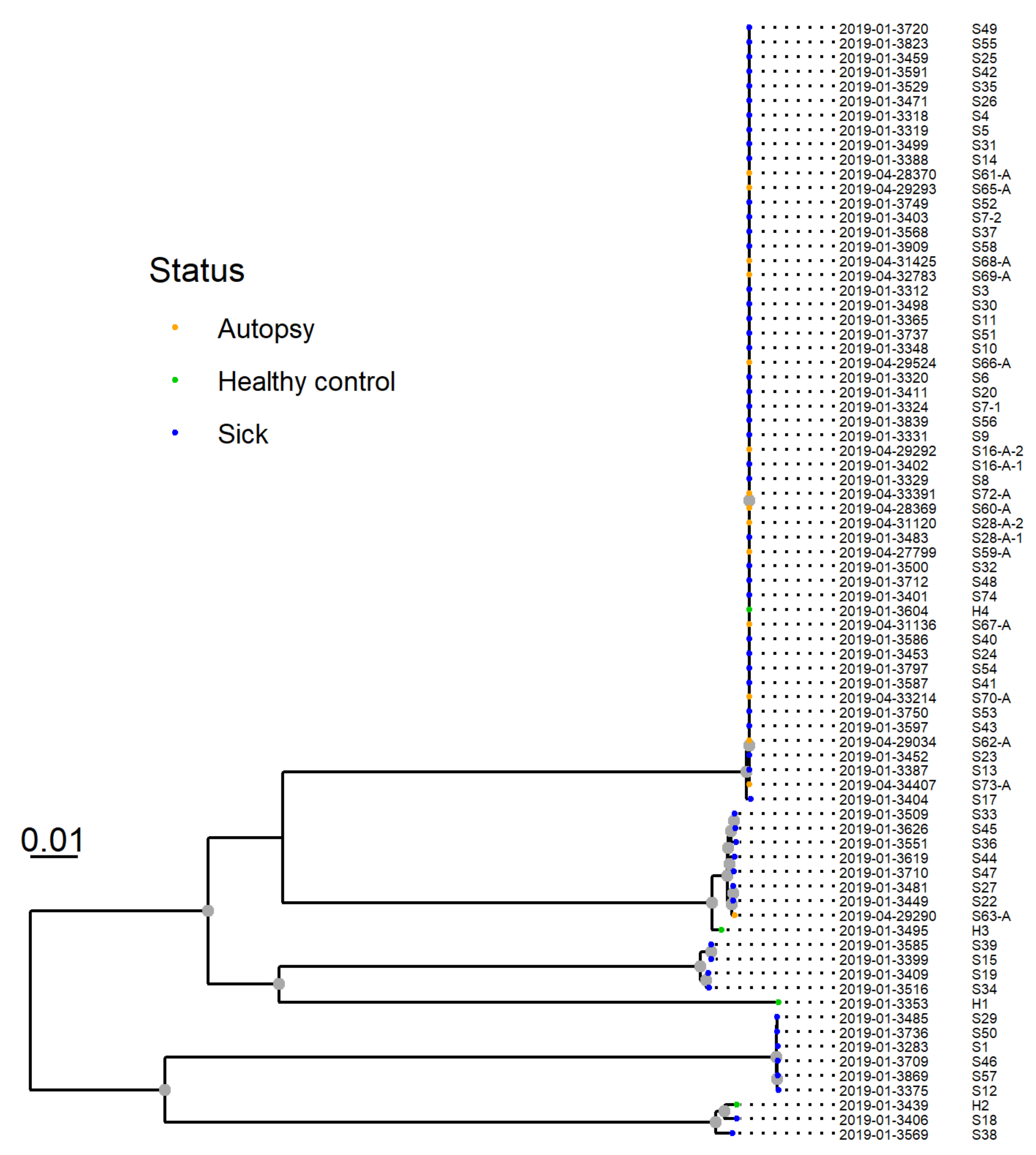 Animals 11 03201 g007