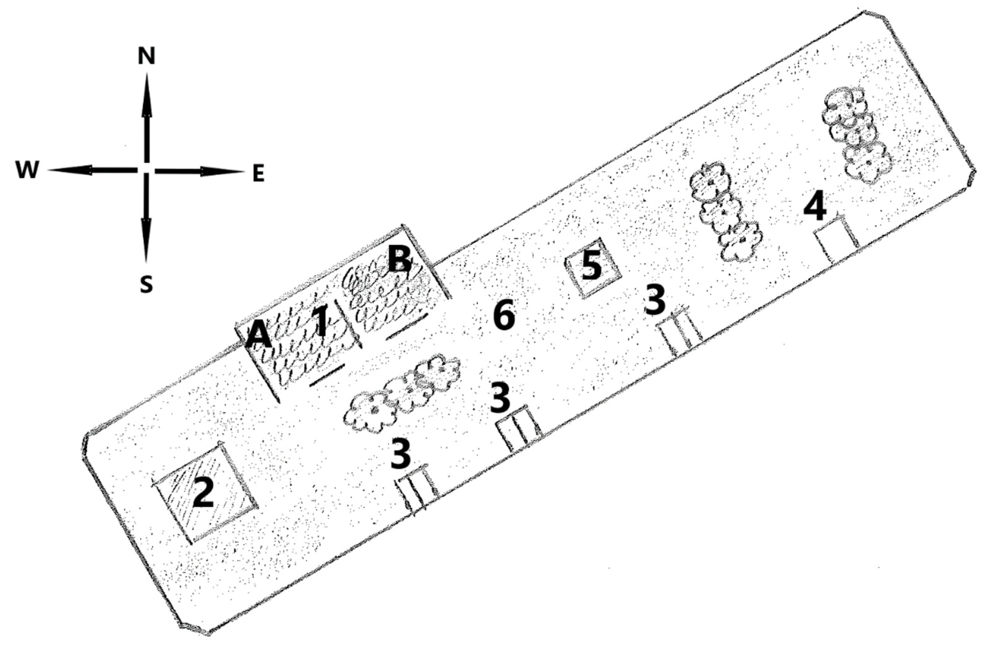 Animals 11 03214 g001