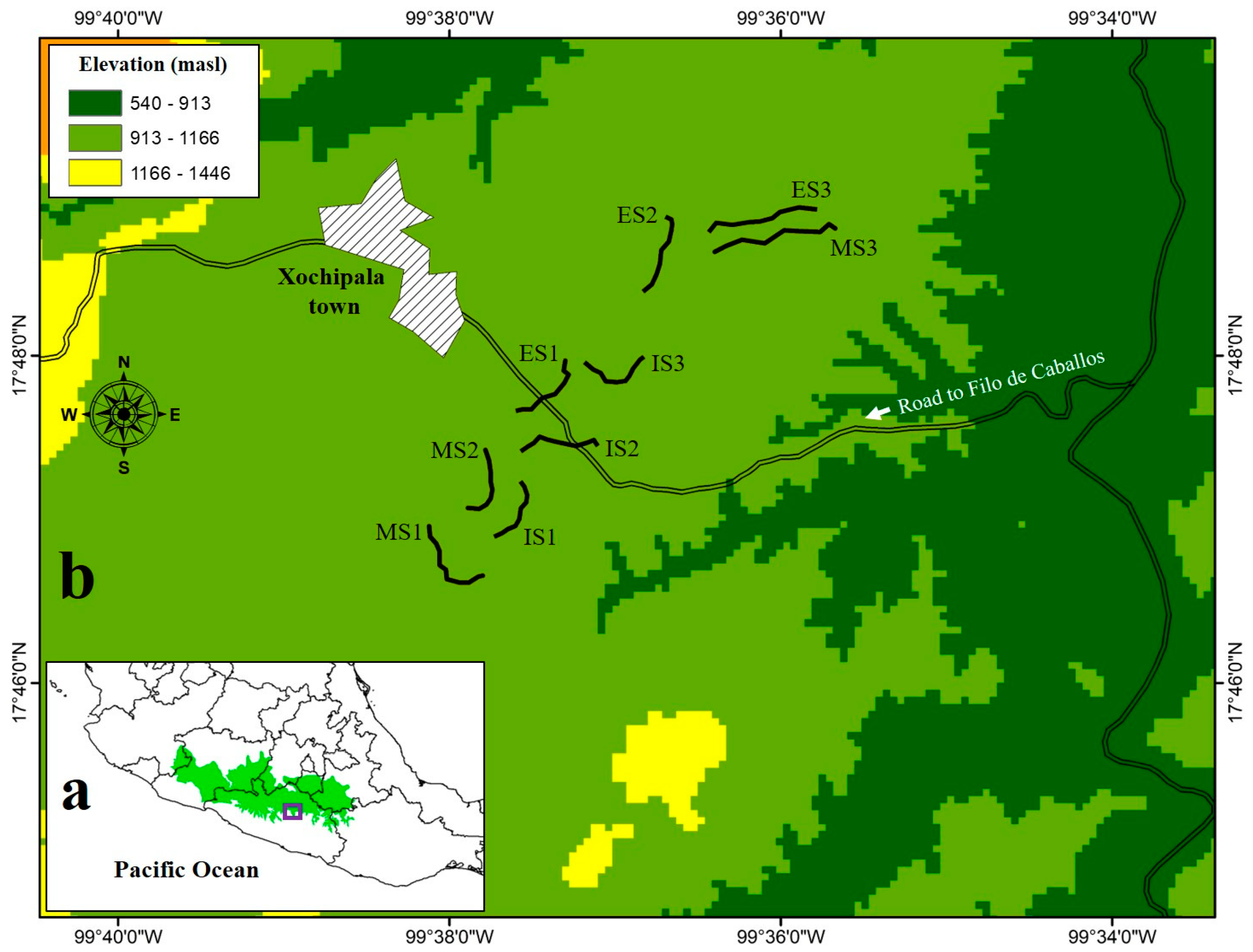 Animals 11 03343 g001