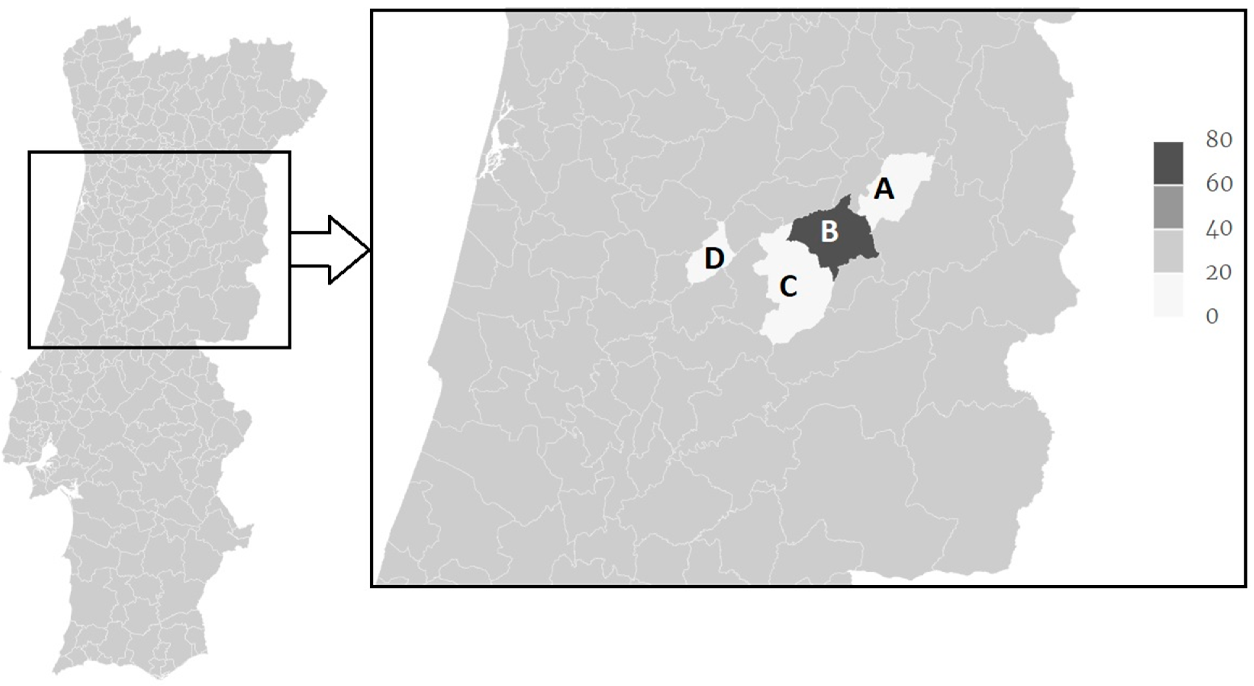 Animals 11 03344 g001