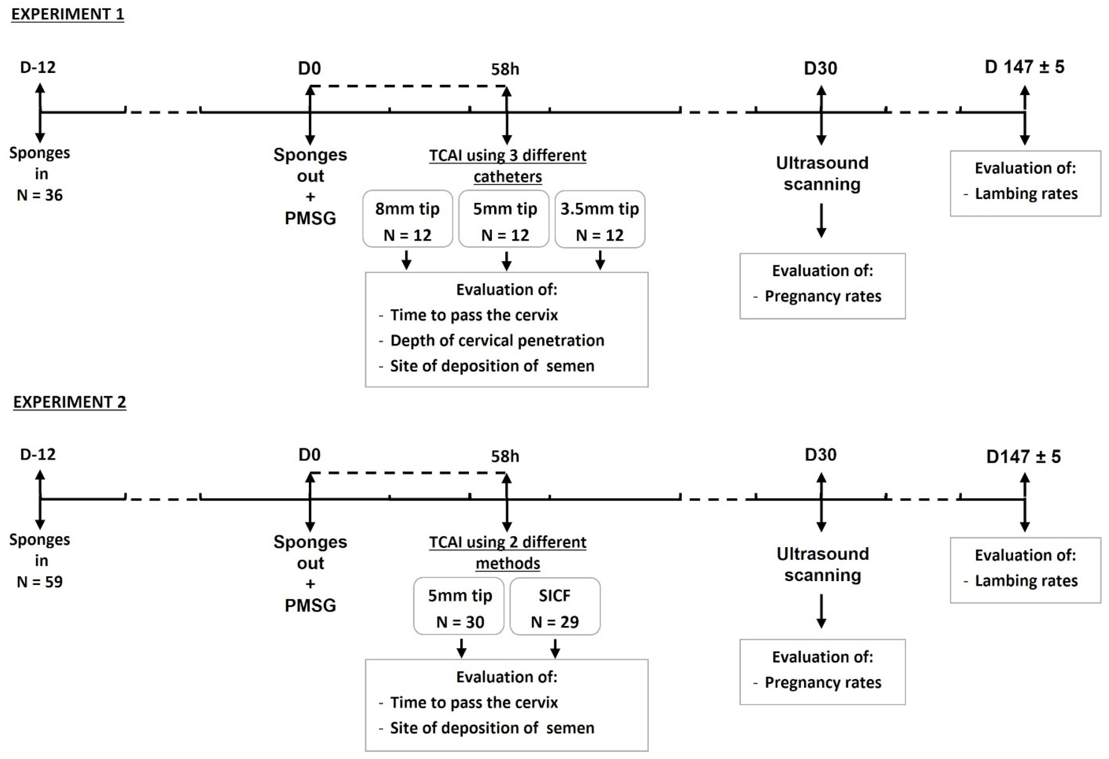 Animals 11 03348 g001