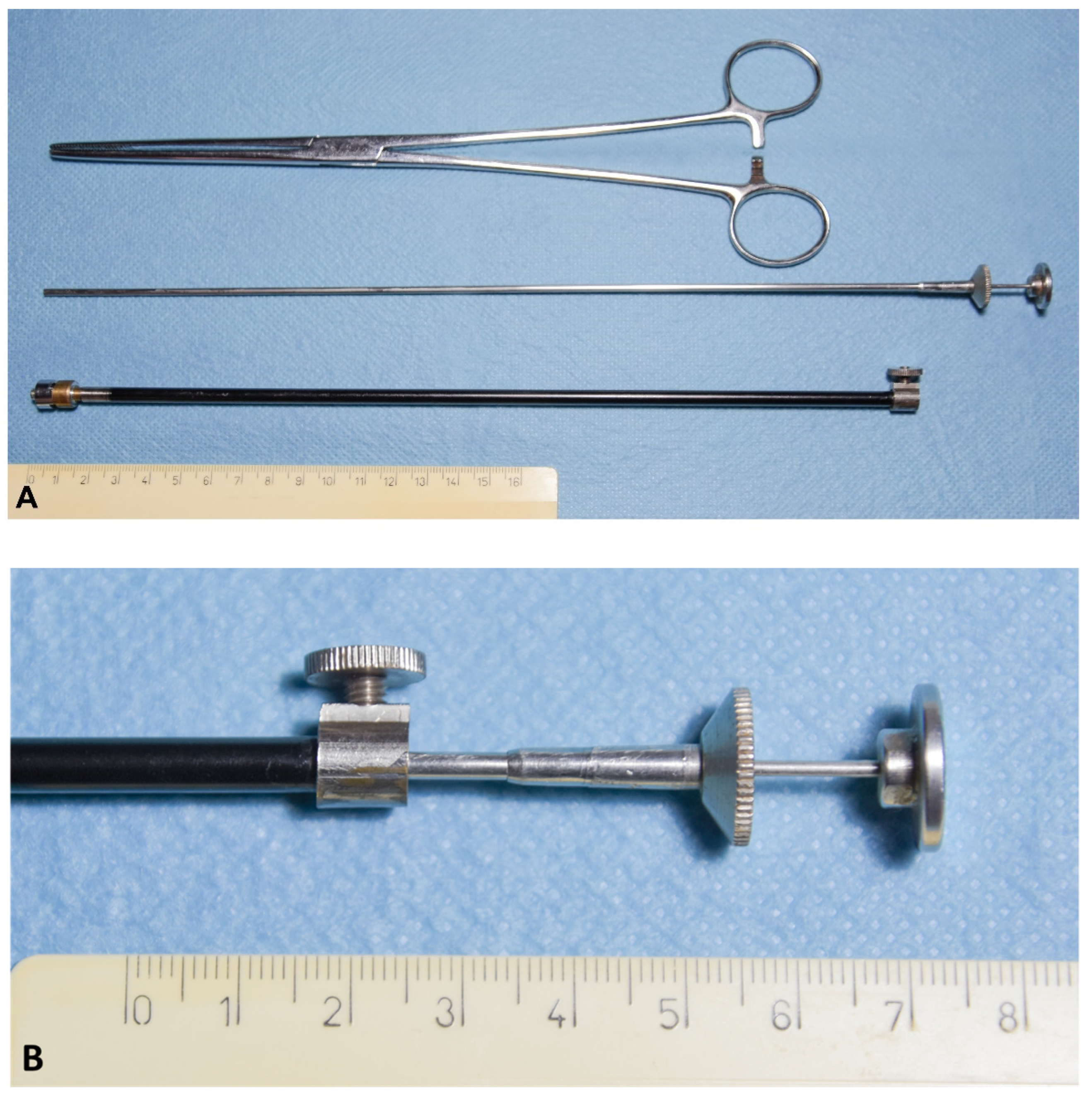 Animals 11 03348 g002a