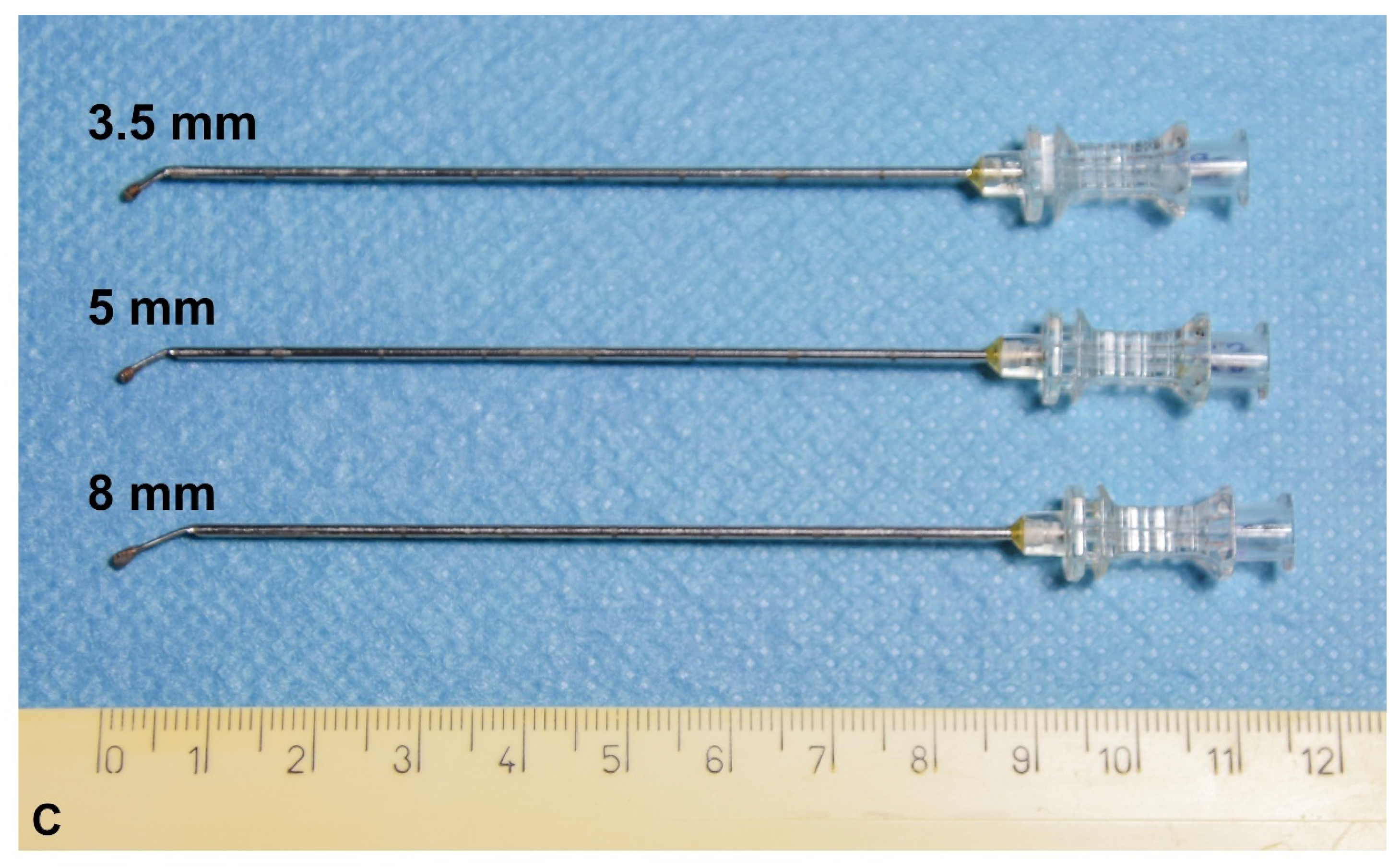 Animals 11 03348 g002b