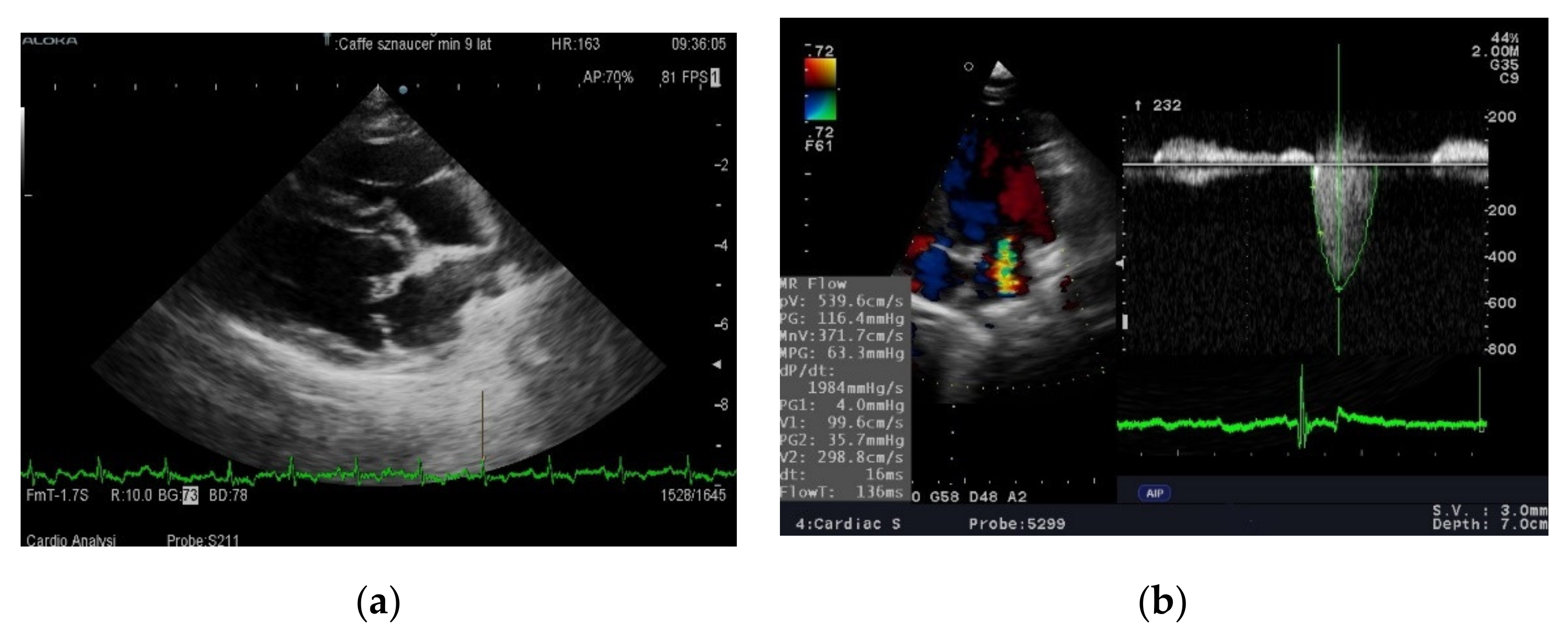 Animals 11 03360 g001