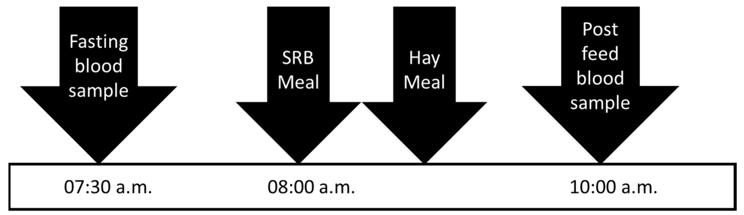 Animals 11 03362 g002