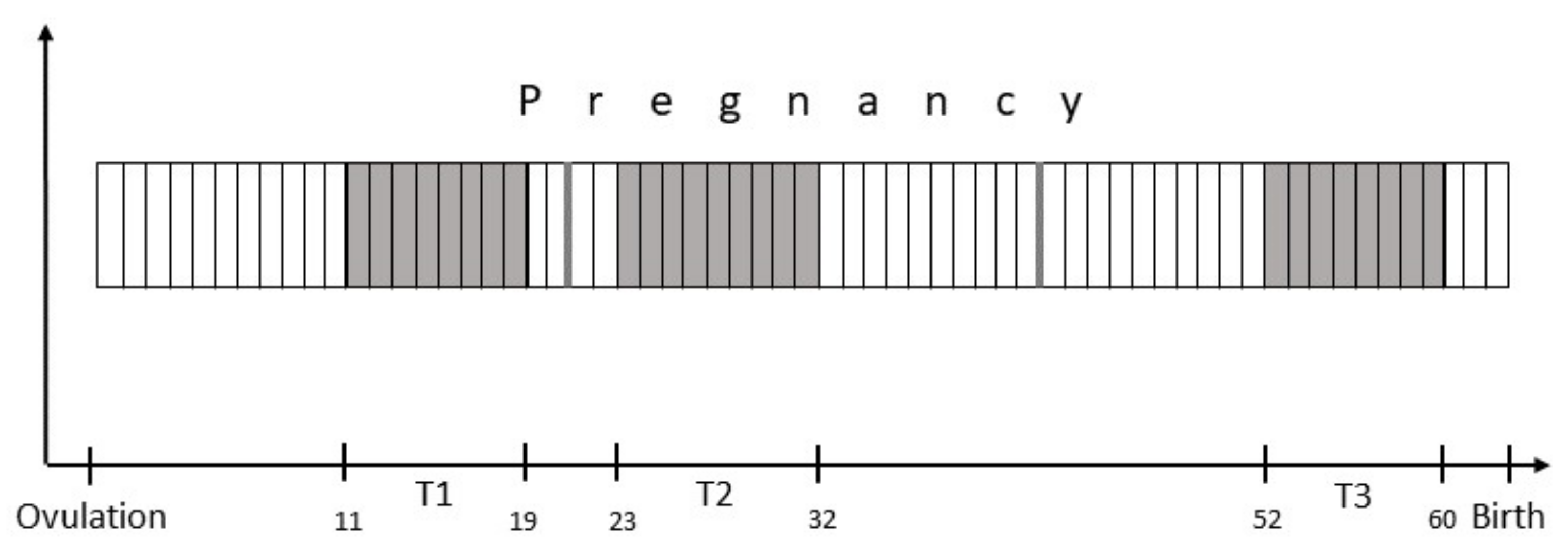 Animals 11 03369 g001