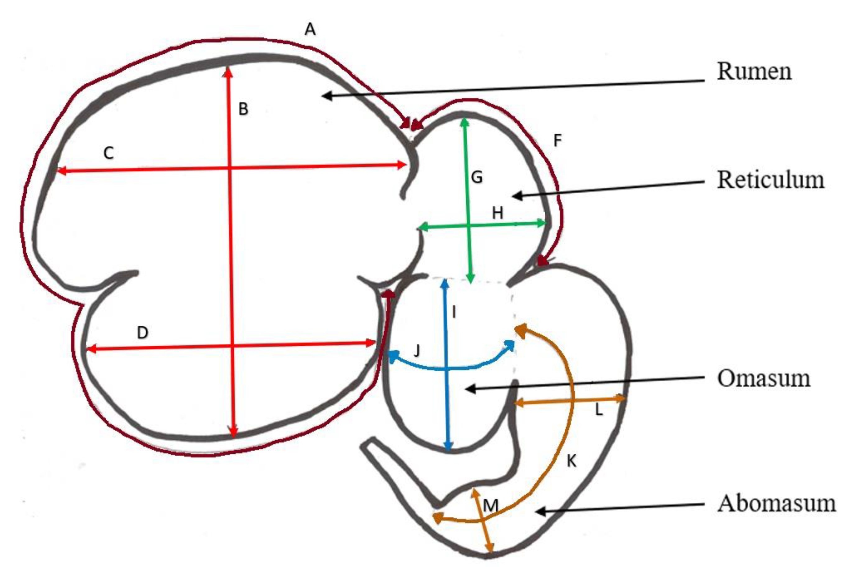 Animals 11 03370 g001