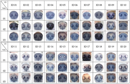 Animals 11 03372 g0a1a Animals 11 03372 g0a1a