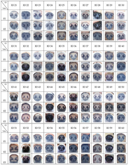 Animals 11 03372 g0a1b