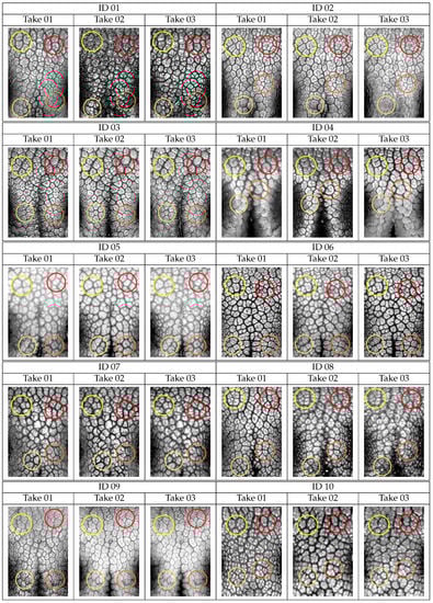 Animals 11 03372 g0a2a Animals 11 03372 g0a2a