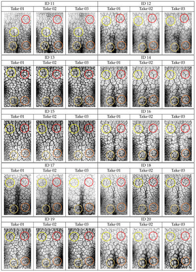 Animals 11 03372 g0a2b Animals 11 03372 g0a2b